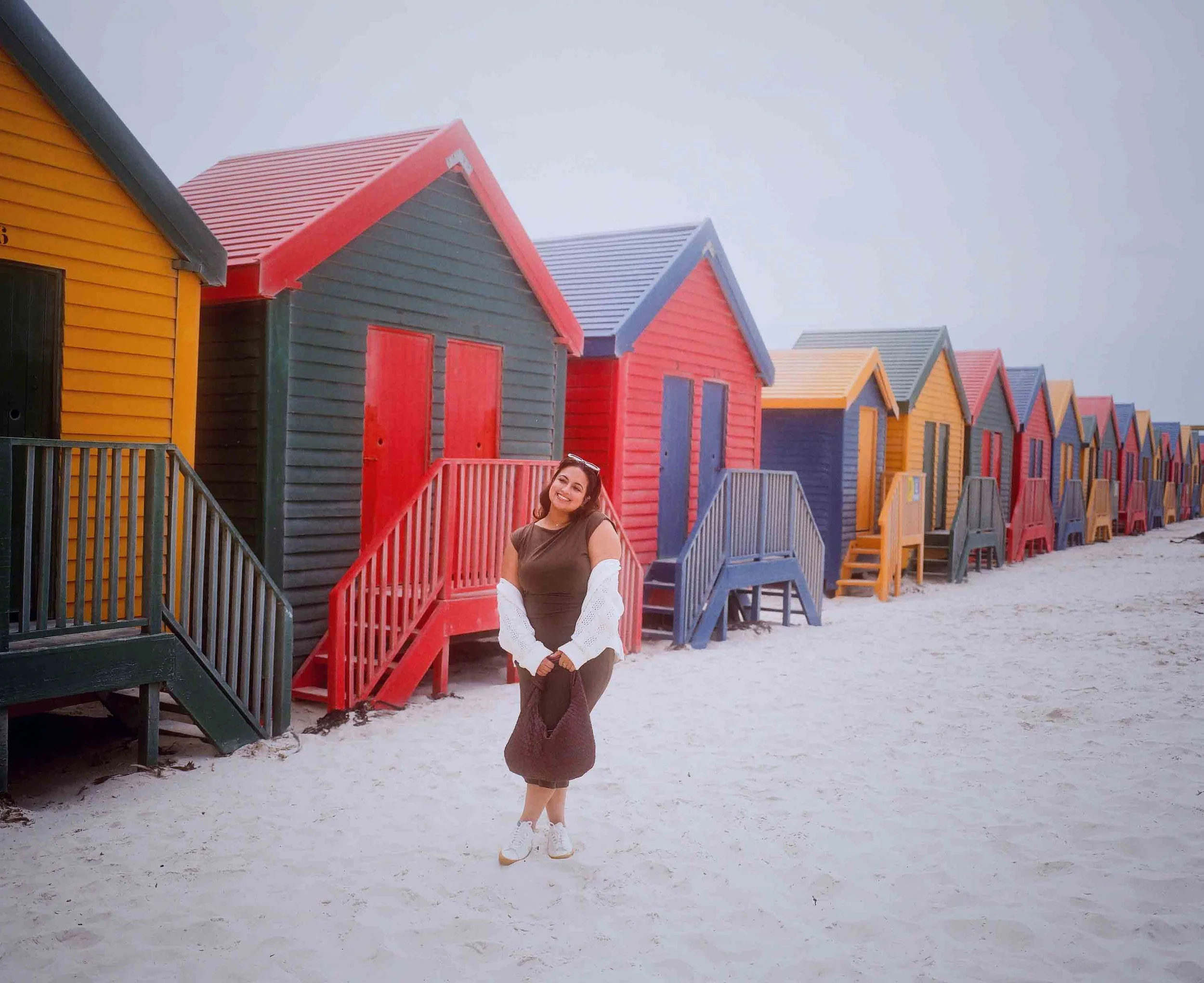 Boulders Beach penguins 2024
