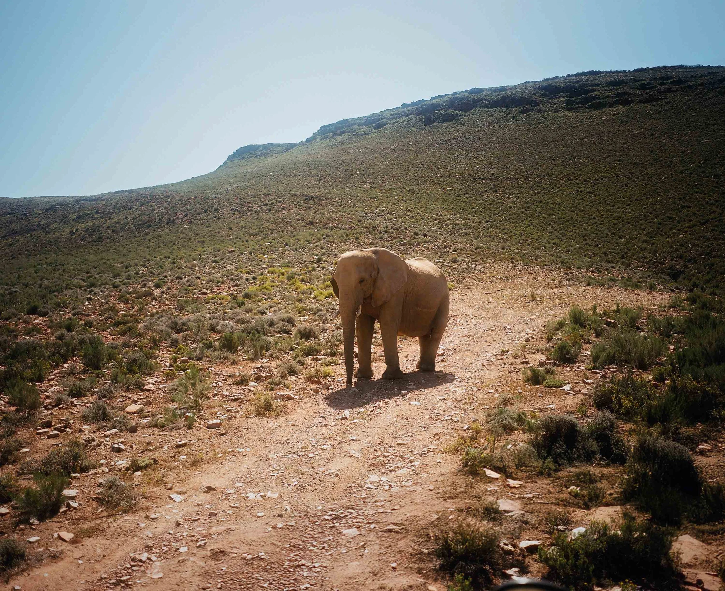 Aquila game reserve 2024