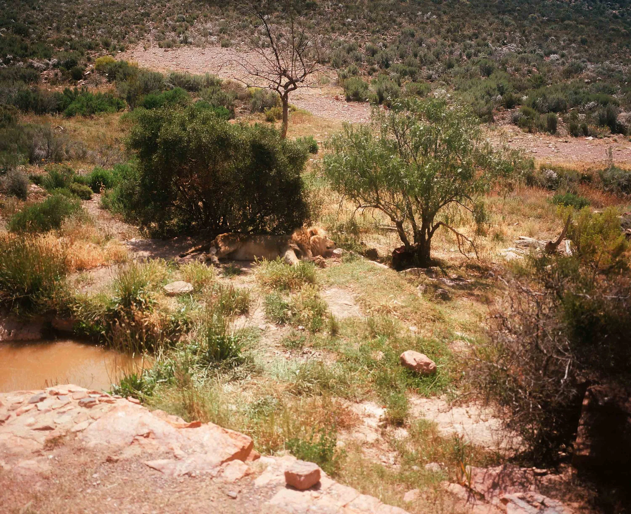 Aquila game reserve 2024