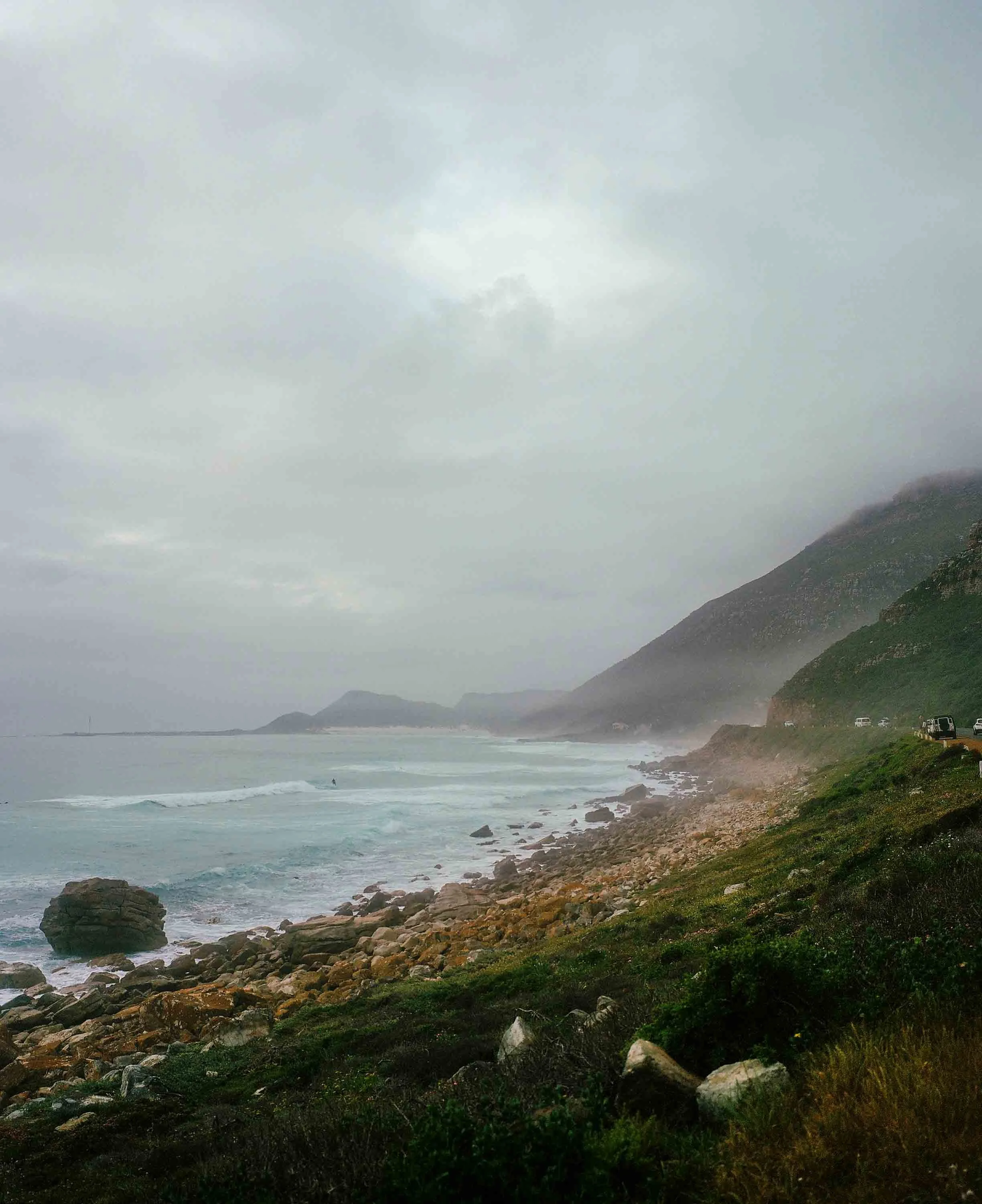 Boulders Beach penguins 2024