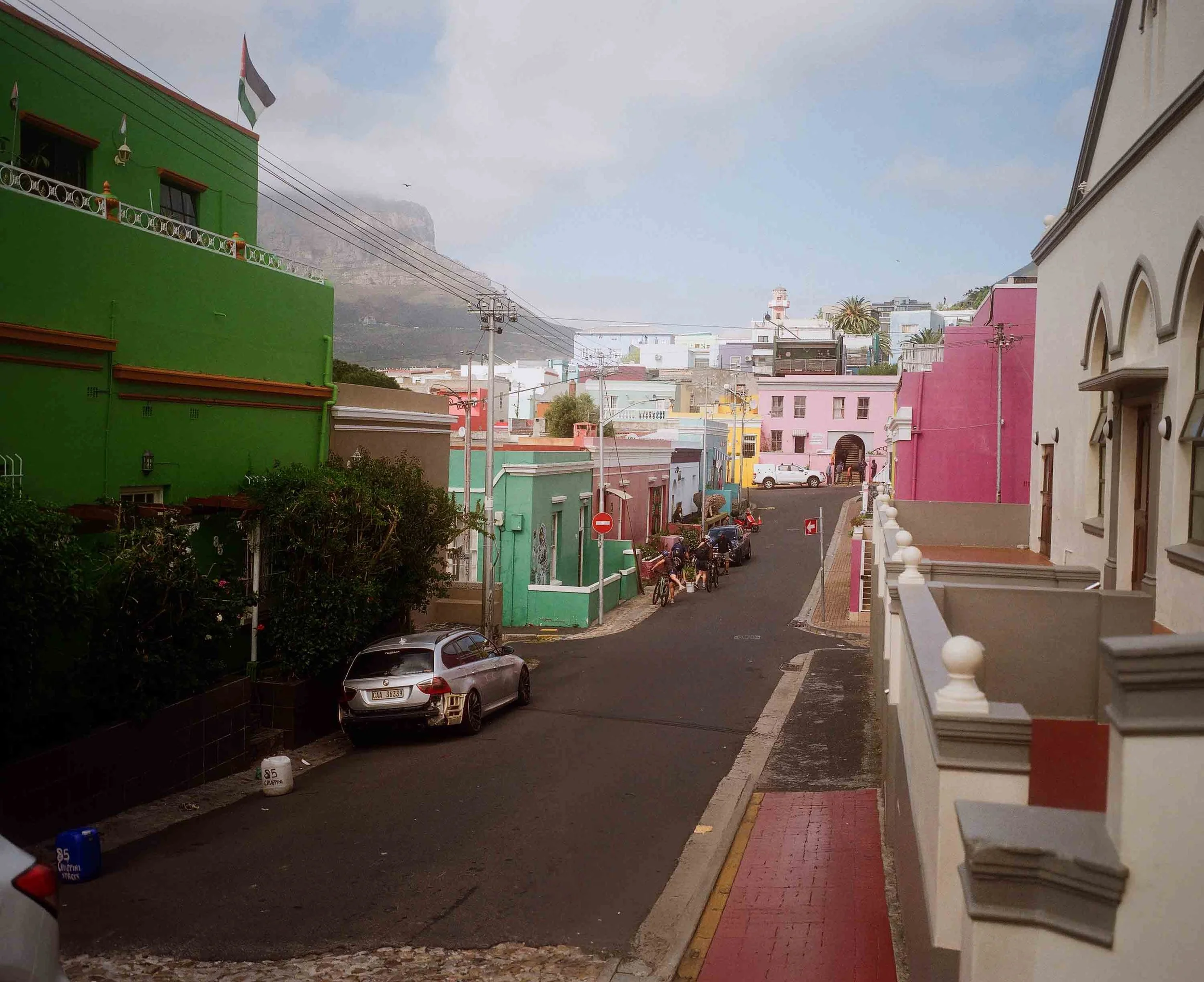 Boulders Beach penguins 2024