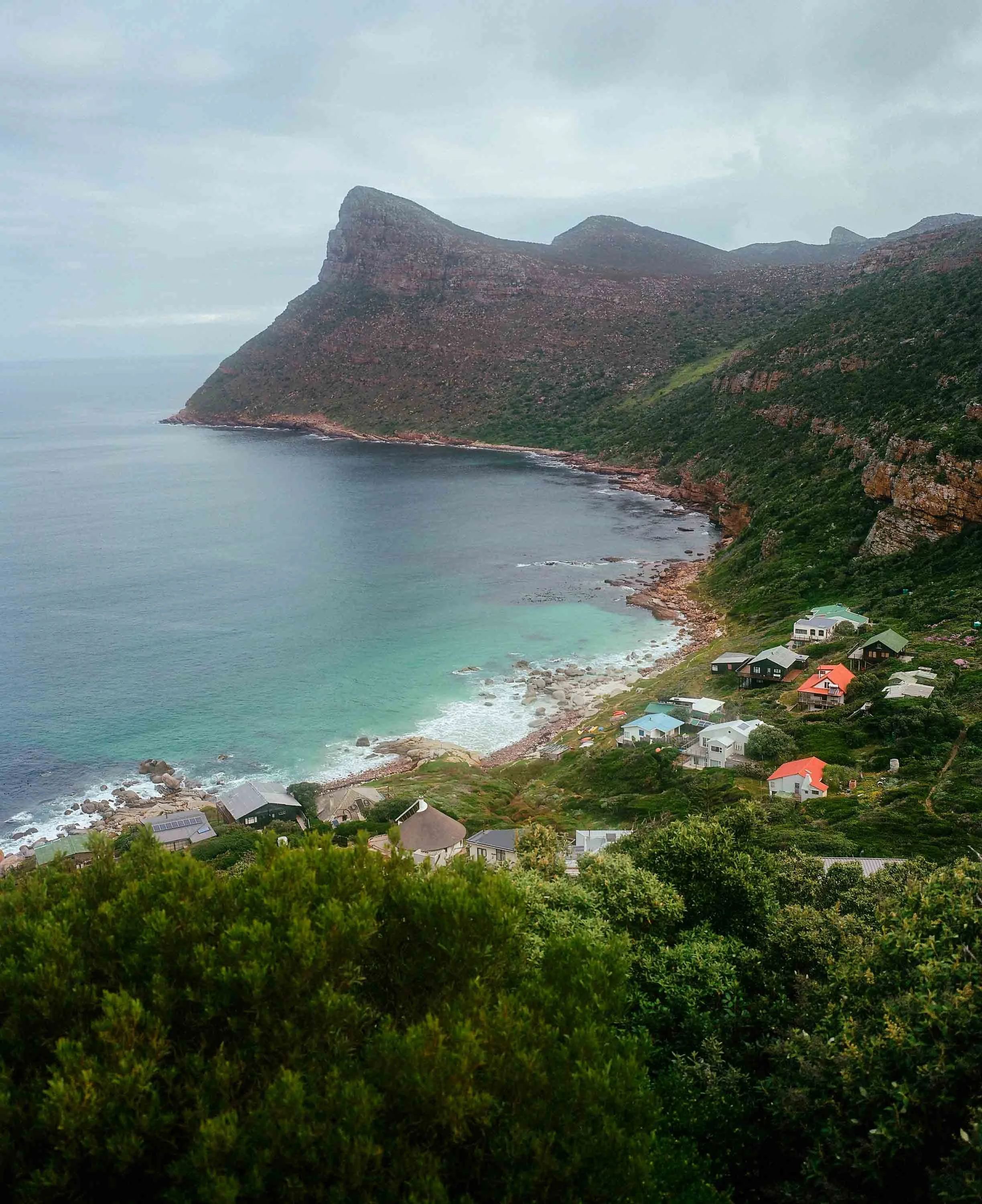Boulders Beach penguins 2024