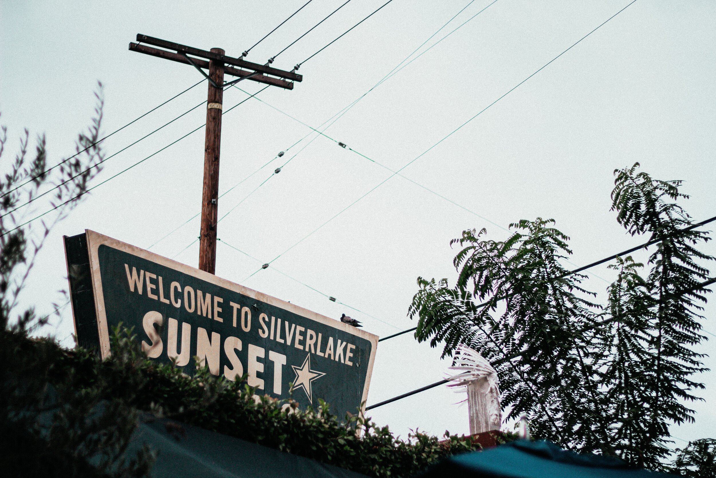 Silver Linings