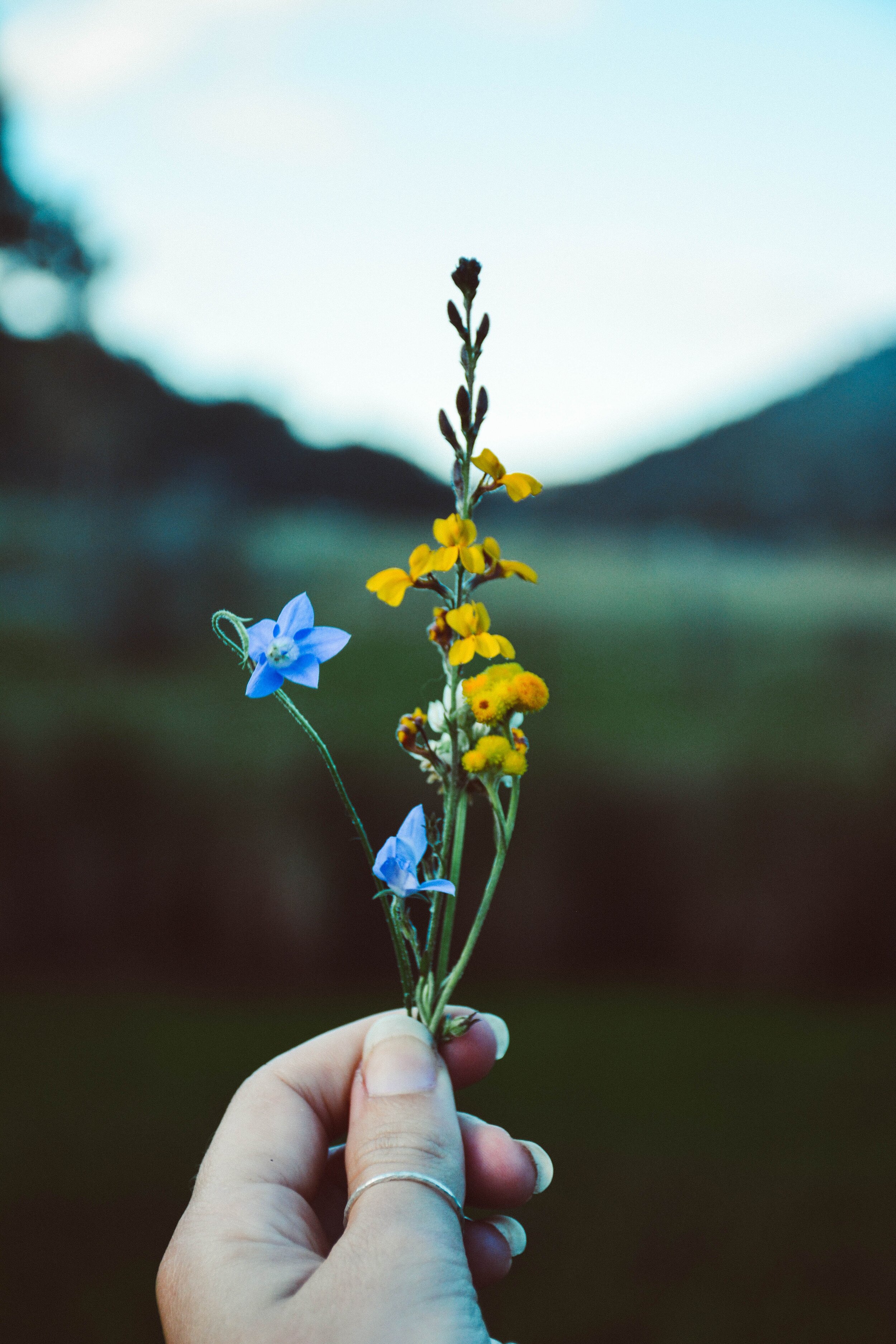 Becoming In The Wilderness