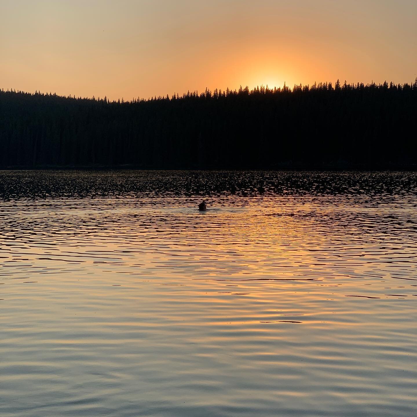 I woke up on Treaty 6 near the Salteaux Peoples this #canadaday. I am thankful for the hospitality of my Indigenous neighbours. 

We must pause and hold abundant space for the reckoning Canada is facing. Our story must expand, and we must truly liste