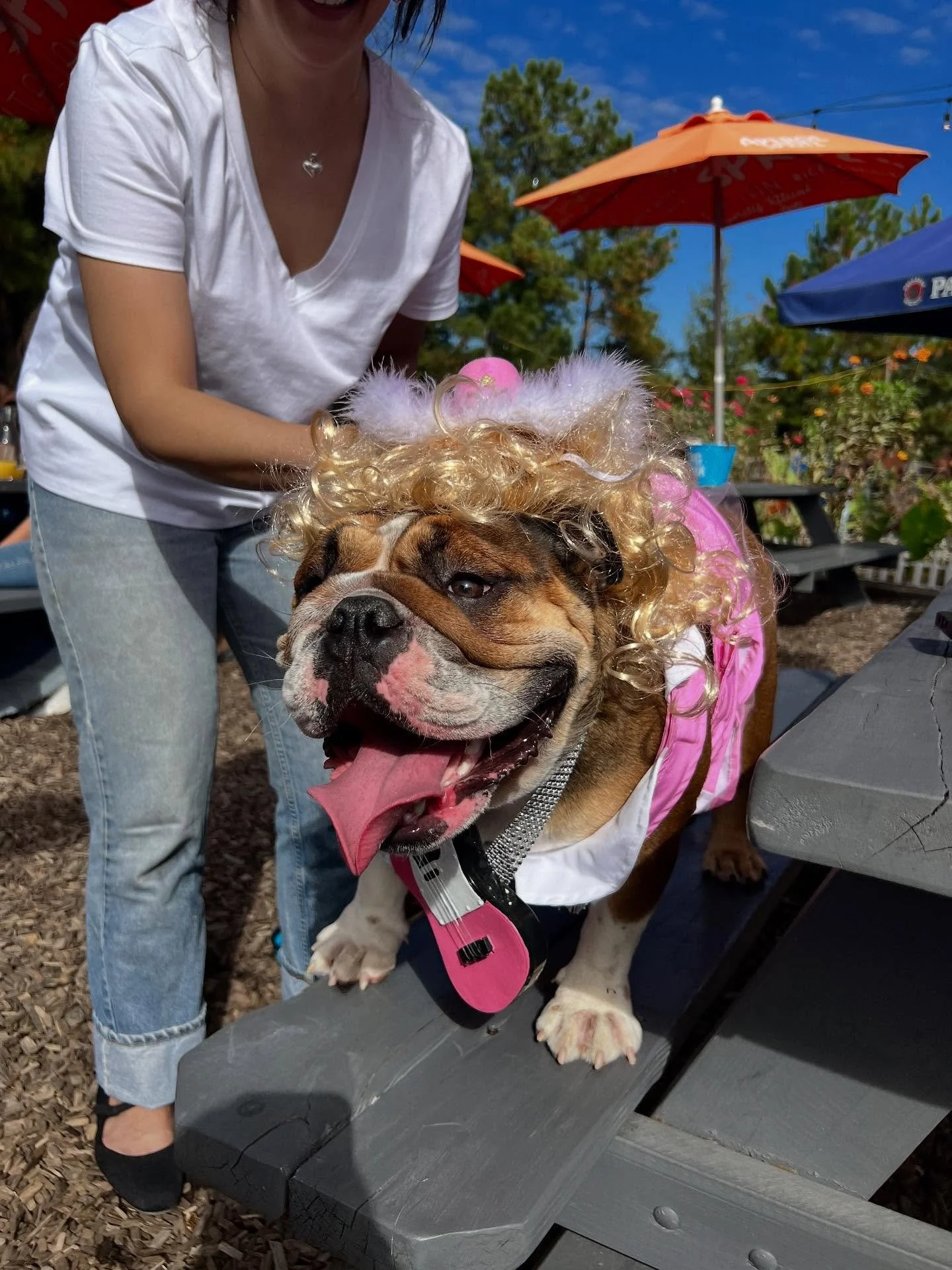 This Saturday, 11/1 is our 6th annual Howl-o-Ween Dog Costume Contest! 🍁🐶👻🎃

Show off your costumed pup from 11am-2pm on our park stage and maybe win the grand prize of $300 for Best in Show!

Our judges, @bobby_kruger  @arthurgrant33 and @beccas