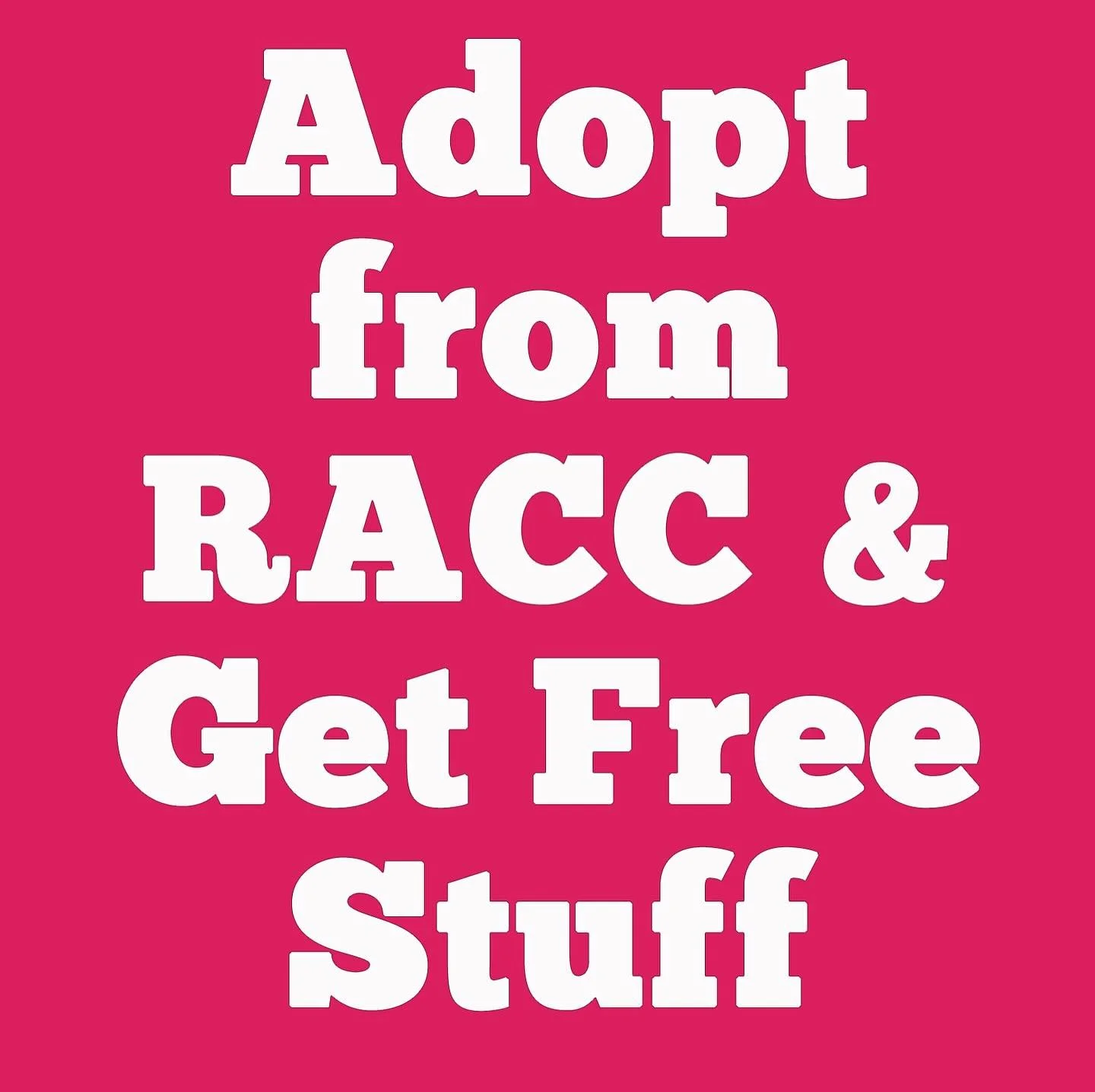 What better gift for the holidays than giving one of these beautiful babies a Furever home!!!

These beautiful babies (and others) are available for adoption right now.

Adopt a dog from @racc_shelter this holiday season and Brambly will give you a g