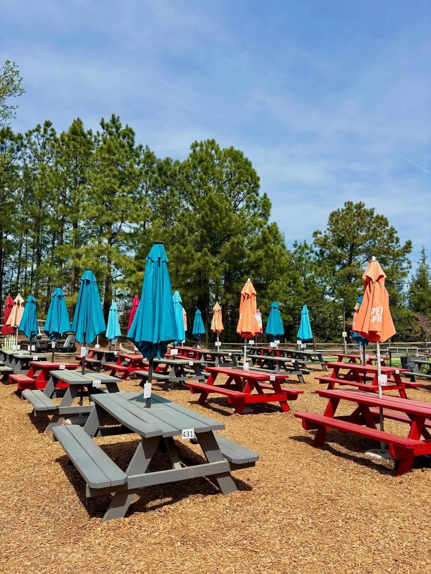 It&rsquo;s a beautiful day to sit in the park and enjoy the sun ☀️ Happy hour from 4-6pm! 🍹🍷🍕 Music by Mon from 5:30-8! 🎶

#rvaeats #brambleon #rvahappyhour #rvawine #rvadine