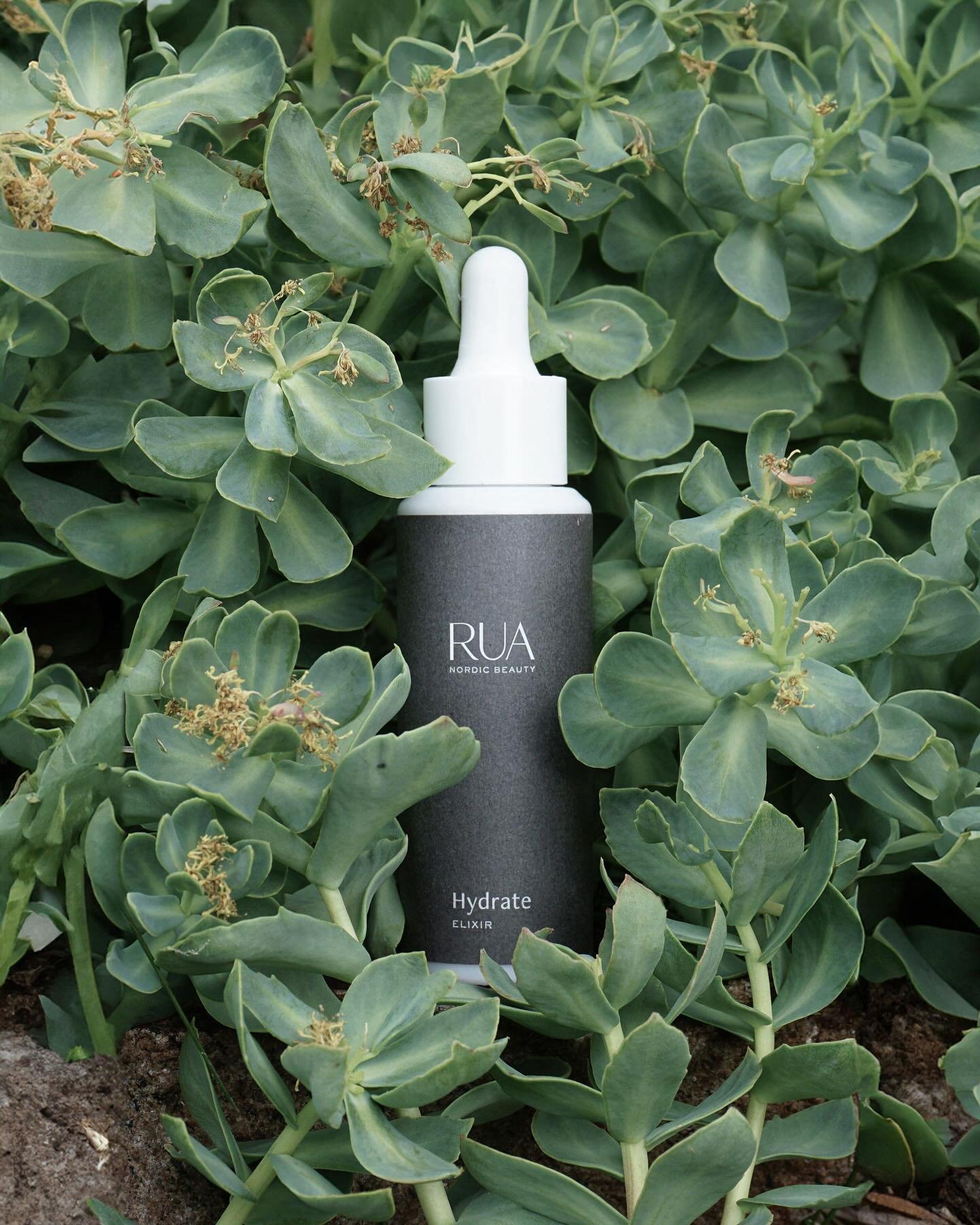 🌱 Five years ago, we planted the seeds of @ruabeauty.co identity - formerly RUE - with a vision of simplicity and sustainability. From a simple logo and a dream, we spun a visual language as resonant as the deep Scandinavian seas and as steady as th