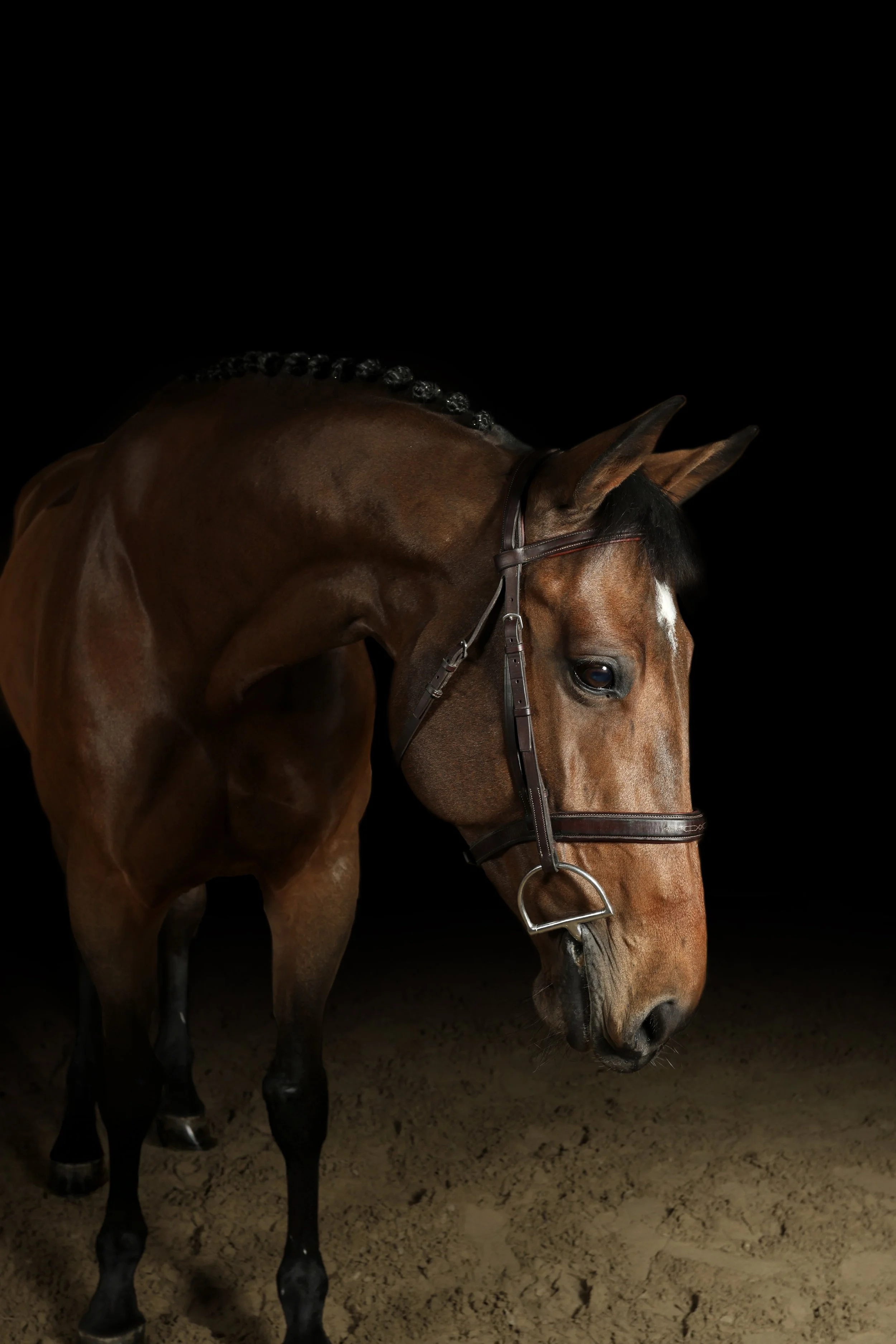 BLACK BACKGROUND PORTRAITS