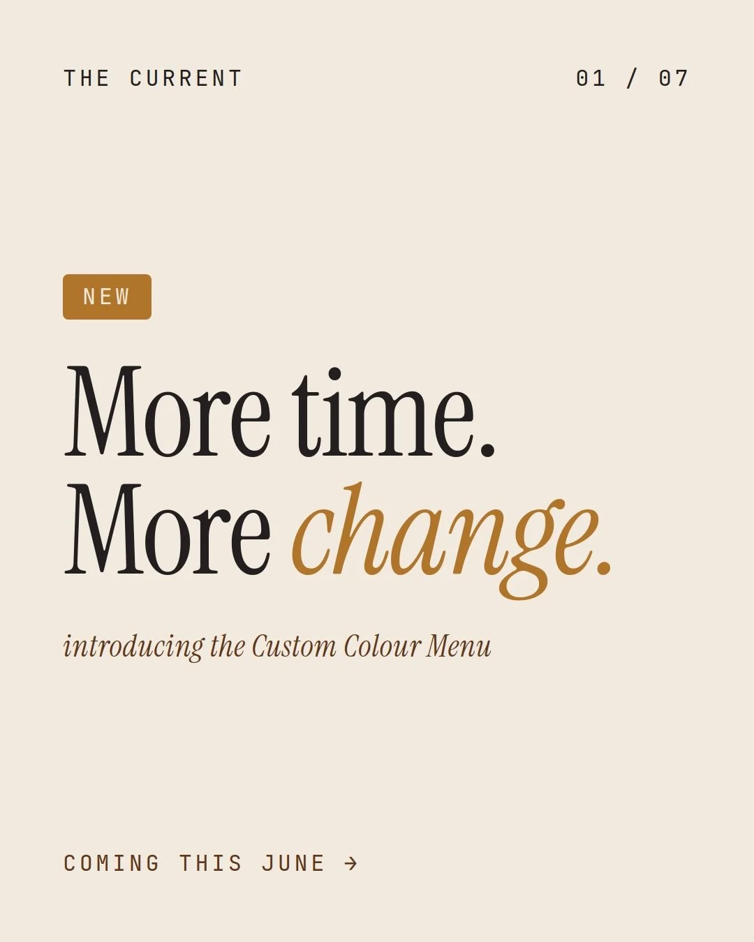 Our NEW Custom Colour Menu is launching this June! 
Swipe through to see how booking is about to get easier🤎

#yxs #princegeorgehairsalon #hairsalon #onlinebooking  #princegeorge
