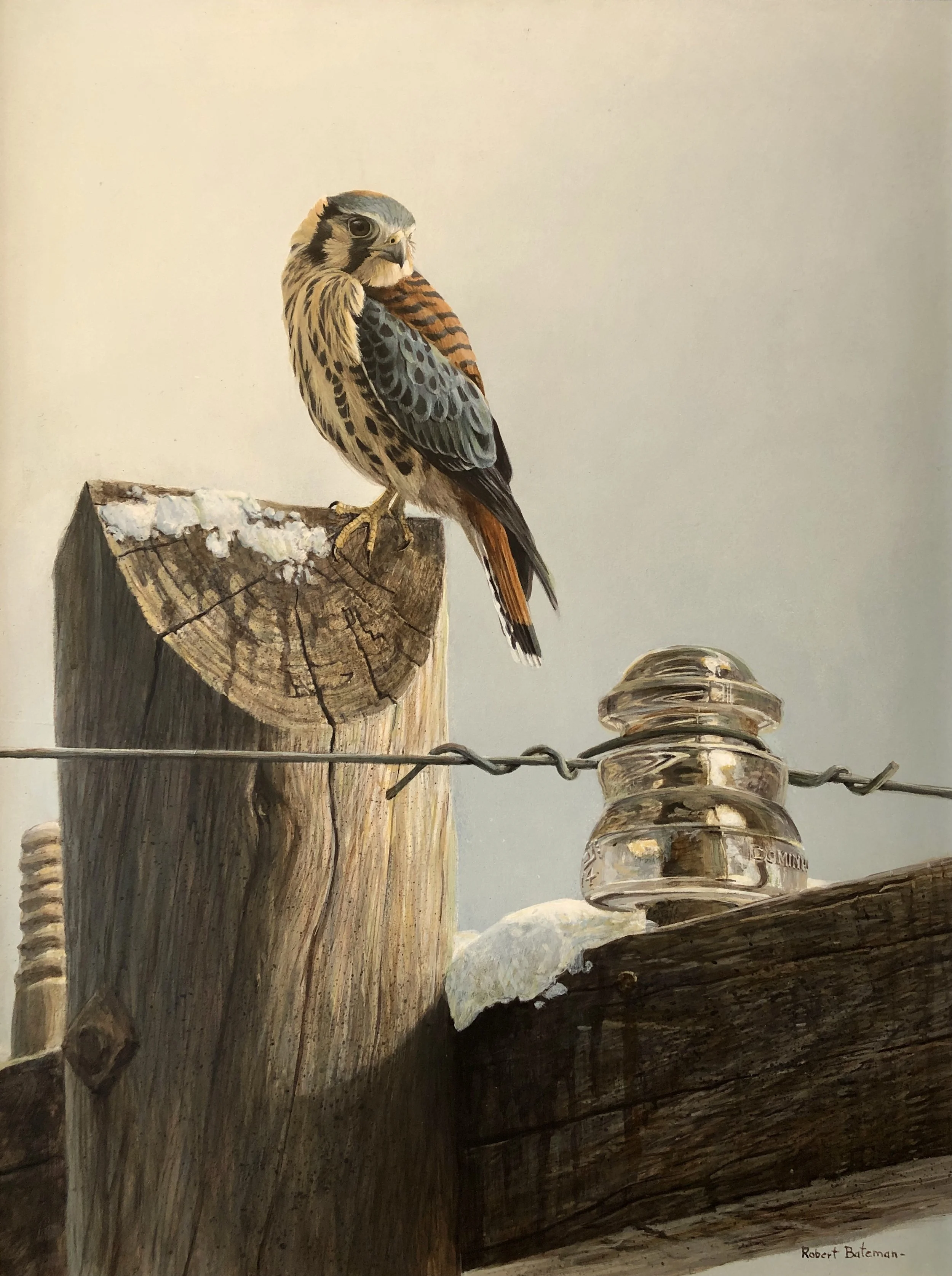 Robert Bateman — Beckett Fine Art Ltd.