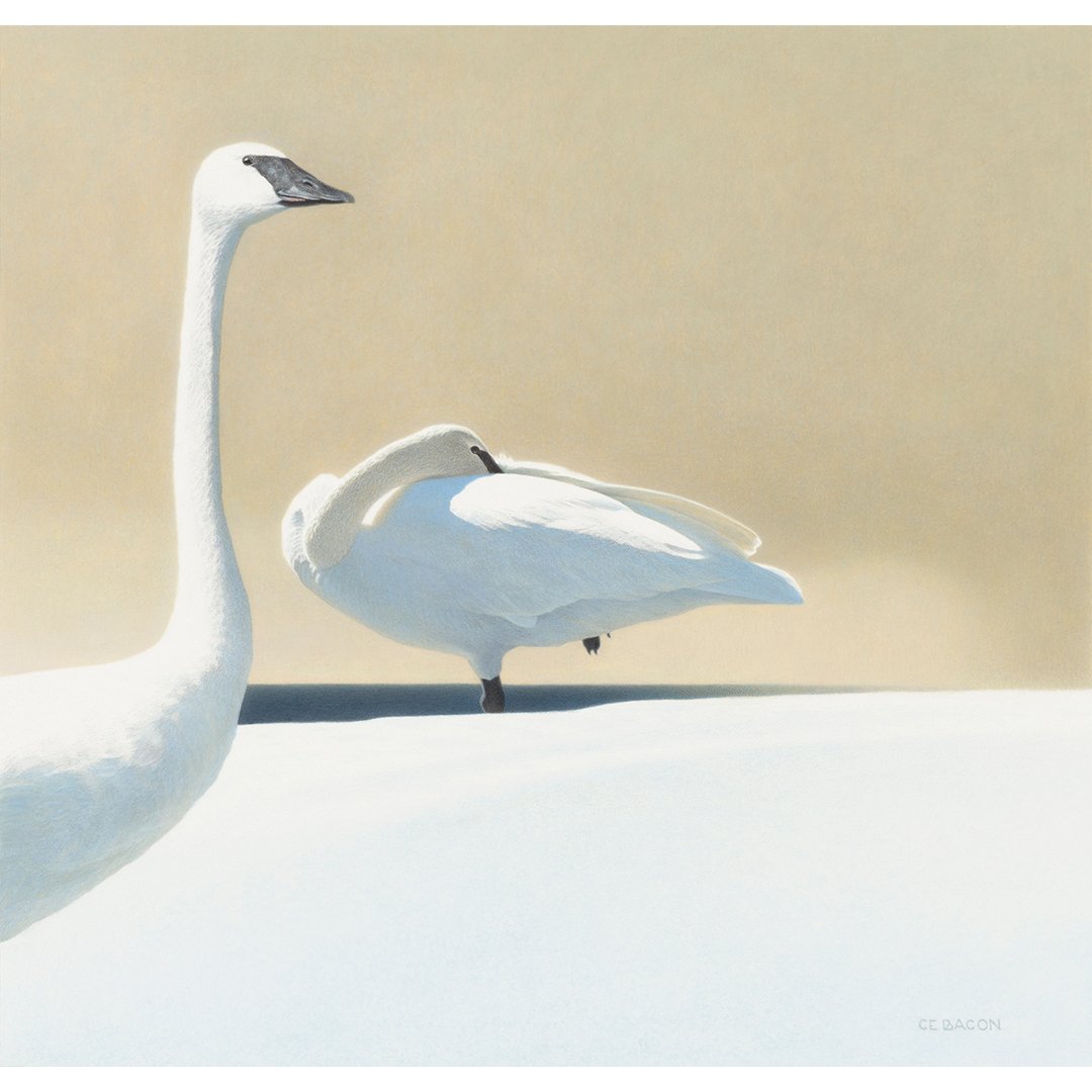 A CHANGE IN THE WEATHER