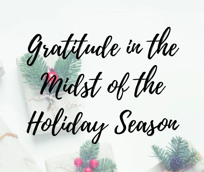 Holiday Gratitude