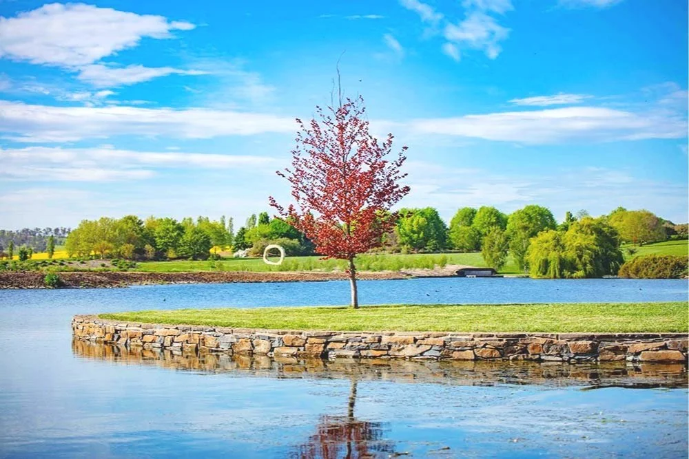 Summer Glamping Season