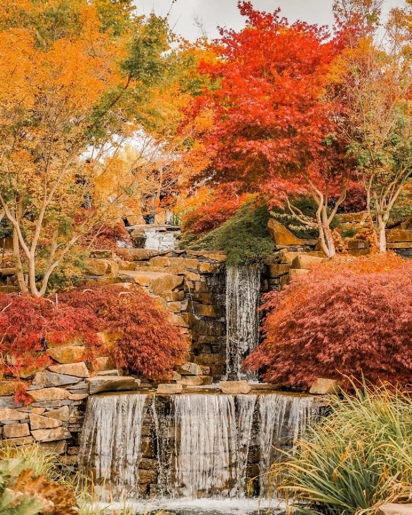 Mayfield Garden
