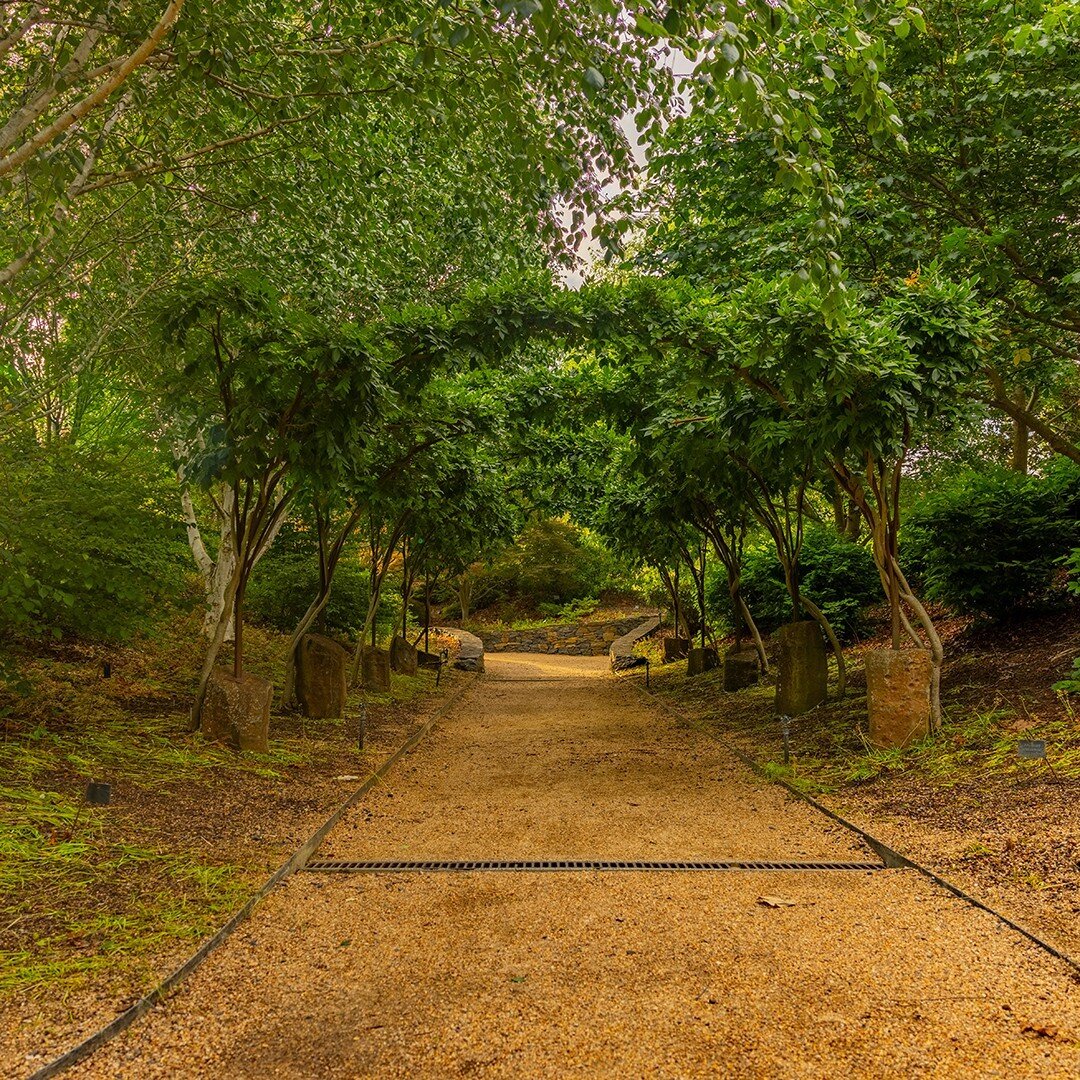 Has been a great summer in the garden - plenty of rain, plenty of sunshine. Come and immerse yourself now, it's an interesting time as the dense summer garden starts putting on its Autumn cloak. 

And also don't forget that the Easter break is coming