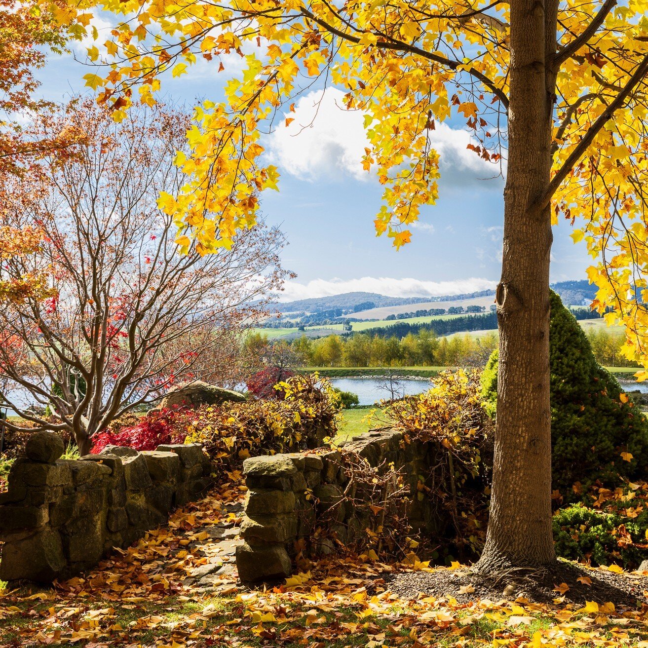 With Easter and school holidays coming up we understand that families will be looking for a full day out that won&rsquo;t break the bank.

The garden entry ticket for family visits to Mayfield is only $105, which covers the cost of two adults and thr