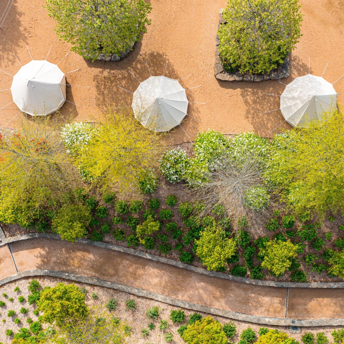 Our Easter  glamping slots are  fully booked, but don't worry there are still tents available until 18 May, including during the school holidays. ⛺️

Reserve your glamping tent now:
Link in Bio 🔗

#glampingNSW #exploreNSW #autumn