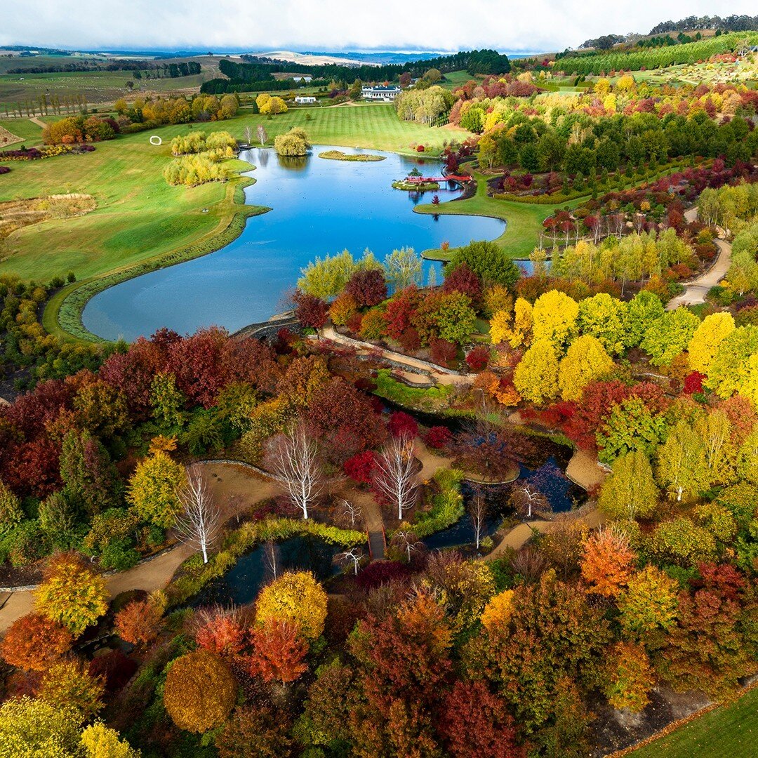 🌼 Planning a budget-friendly family day out for Easter and the school holidays?

Look no further! 🐣 Our family-friendly Mayfield Garden offers an all-day pass for just $105, covering admission for two adults and three children. 🎟️

Pack a picnic l