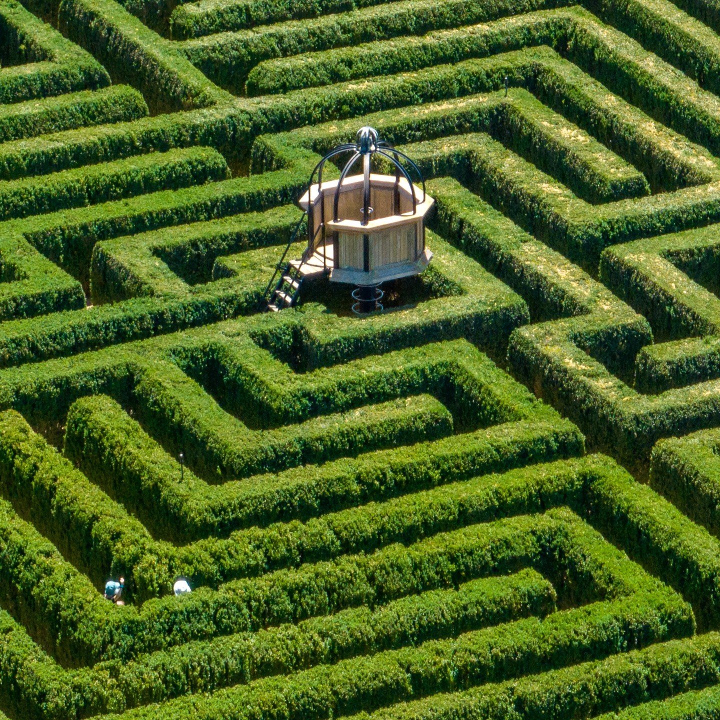 &quot;A-maze-ing&quot; 🧩

One of the many exceptional features we have here at Mayfield Garden, grab a family ticket for $105! Family tickets cover 2 adults and 3 children under 16. 

Grab your garden tickets now! 🌺
Link in Bio

#autumn #nswgardens