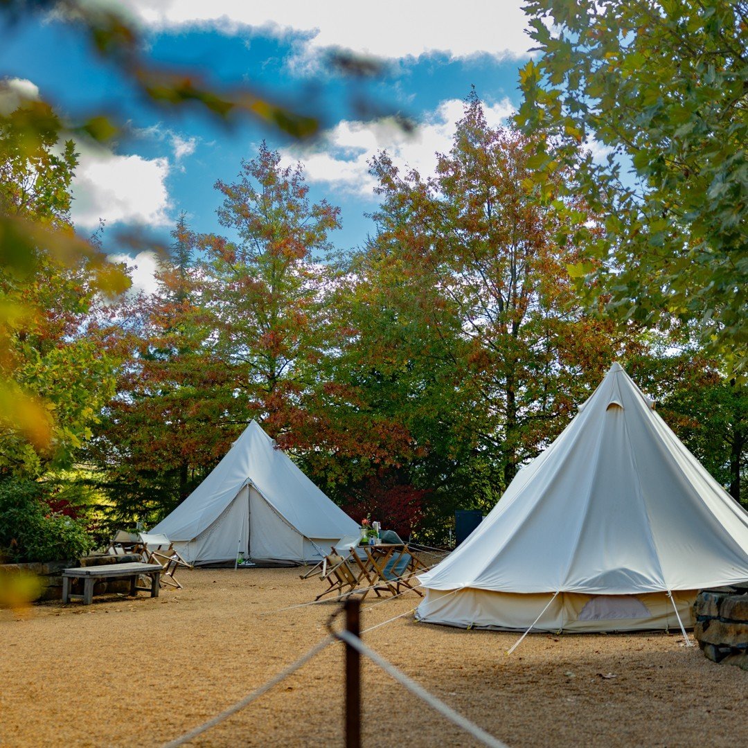 Looking for a unique holiday experience? Look no further! 🌟

Our glamping tents at Mayfield Gardens provide the ultimate retreat for families and adventurers alike. Tents are available until May 18! ⛺️

Don't miss out, book your tent today!
🔗 Link 