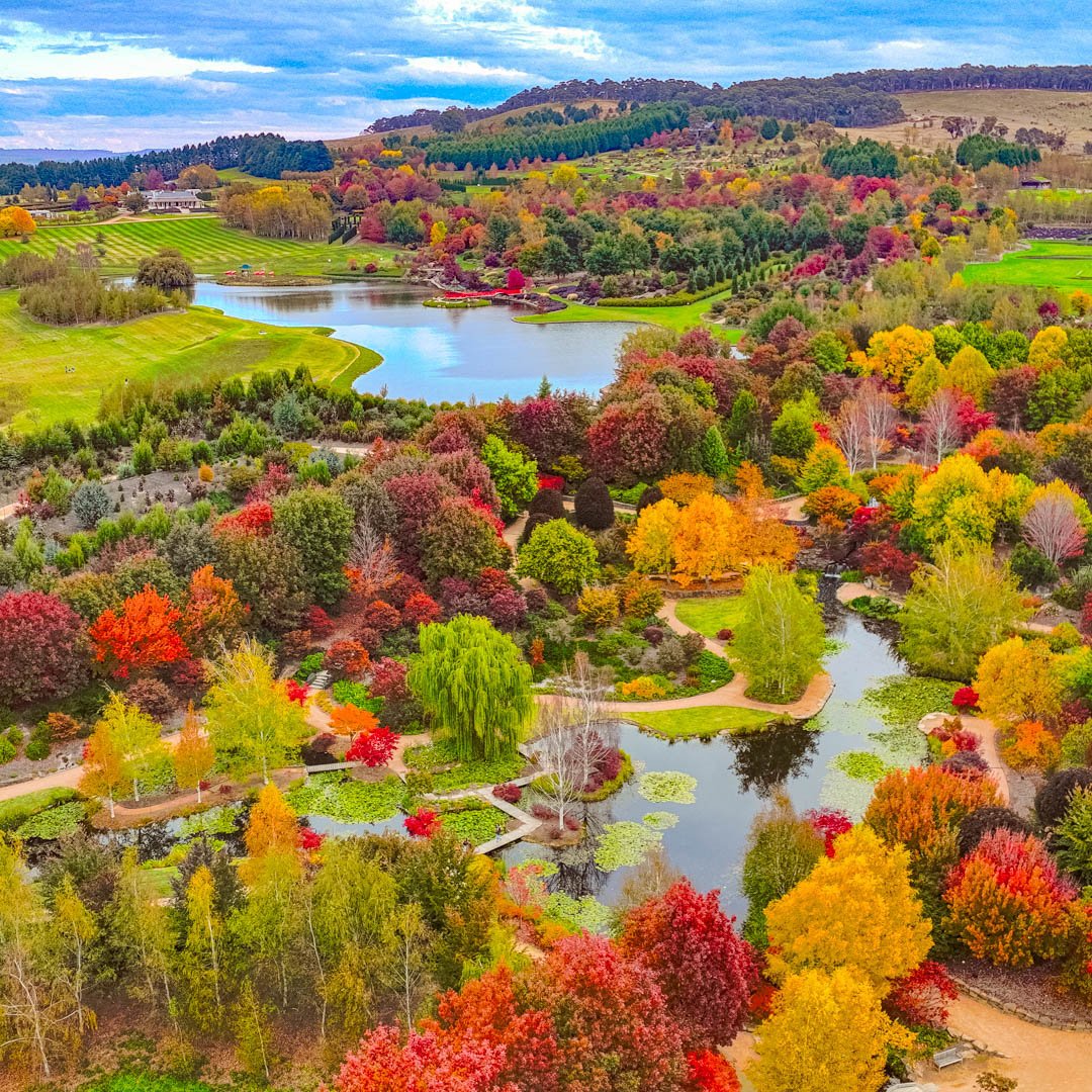 It's the BEST time of the year to visit Mayfield Garden at the moment!

With Autumn colours in full effect, you must visit before the end of the School Holidays 🍂

We are open this ANZAC Day - it's the perfect opportunity to visit!

It will be busy,