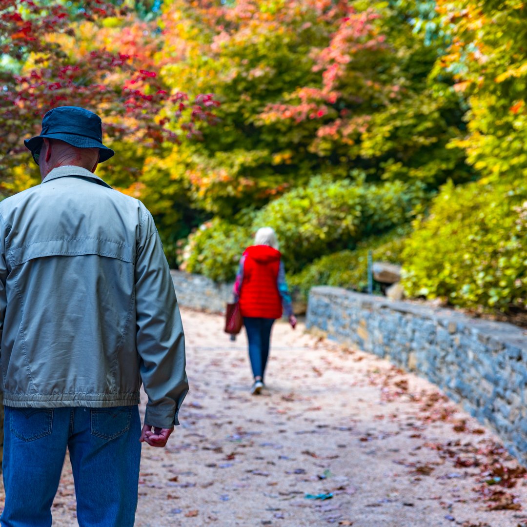 A peek of what a walk through Mayfield Garden will look like this Autumn.👀🍂

Experience these colours in the garden with a day pass for you and your family, get in quick these beautiful changes won't be around for long!

Don't forget that we are op