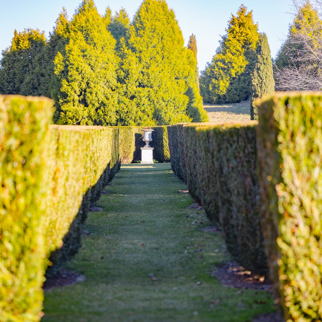 The full garden will be open every day this winter, so come and see the maze, the lake, the cascade, and all the other Mayfield favourites.

Bring a warm coat and spend a few hours exploring every corner of the garden.

#wintergarden #winter #mayfiel