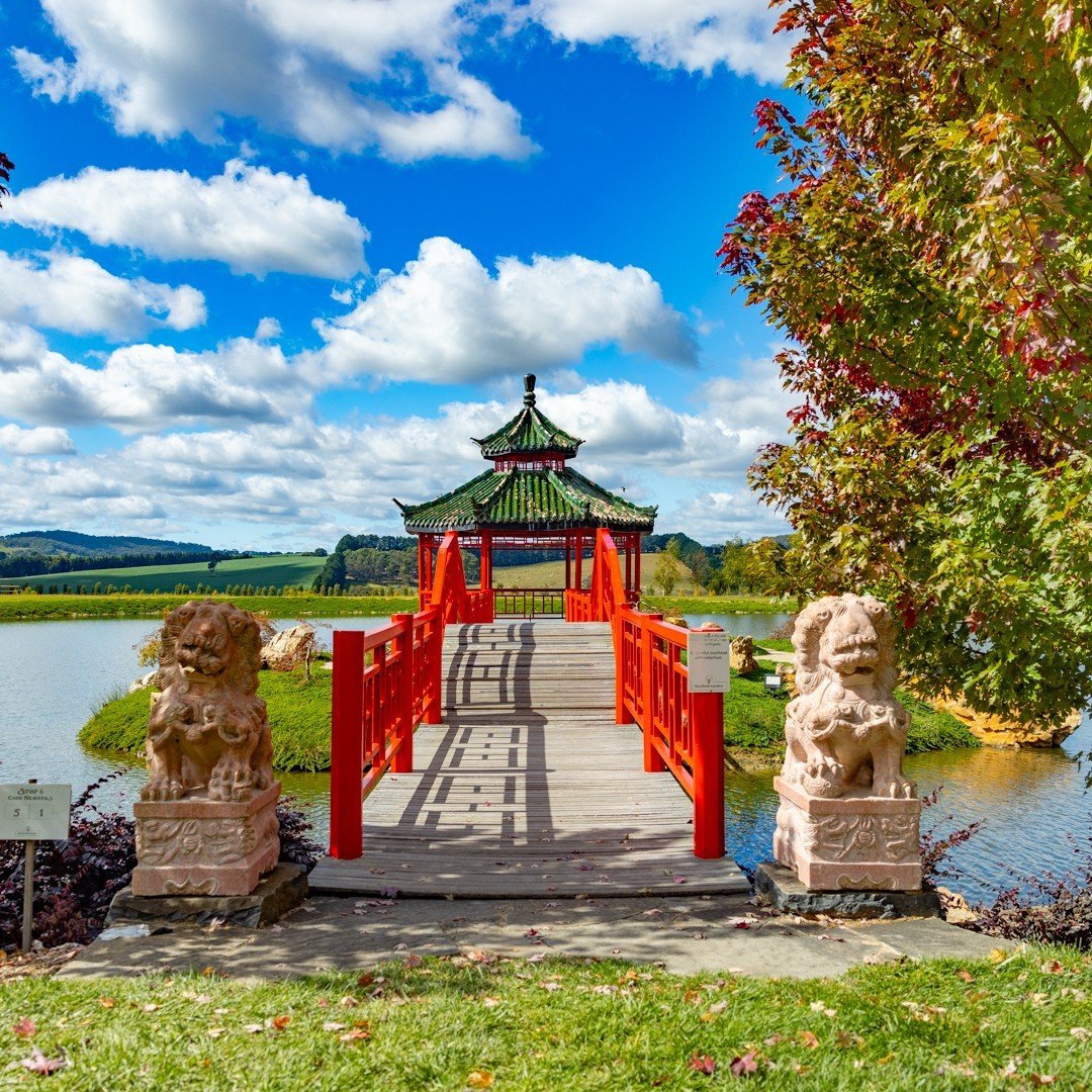 Regular visitors to Mayfield need to add a winter visit to their experiences. There is much to be seen once the denser foliage disappears in the colder months.

Mayfield is very proud of its stonework, sculptures, bridges, and paths and the vital rol
