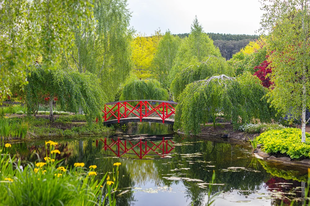 The Gardens — Mayfield Garden