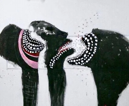 Photo Feb 25, 5 49 07 AM.jpeg