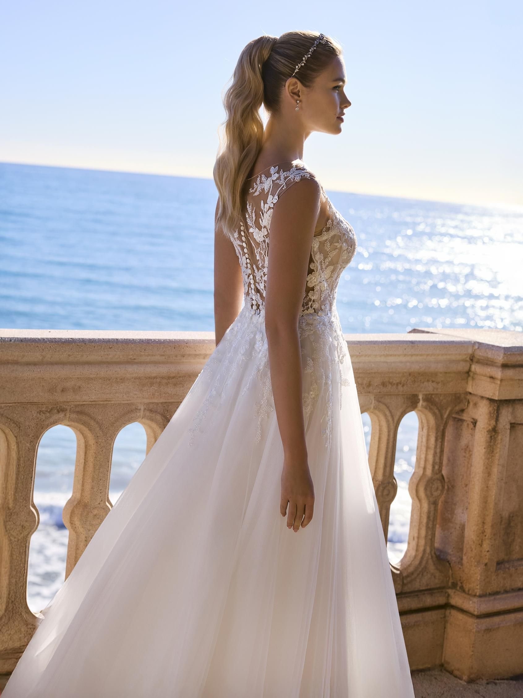 lewesia-d-96473b12.jpg