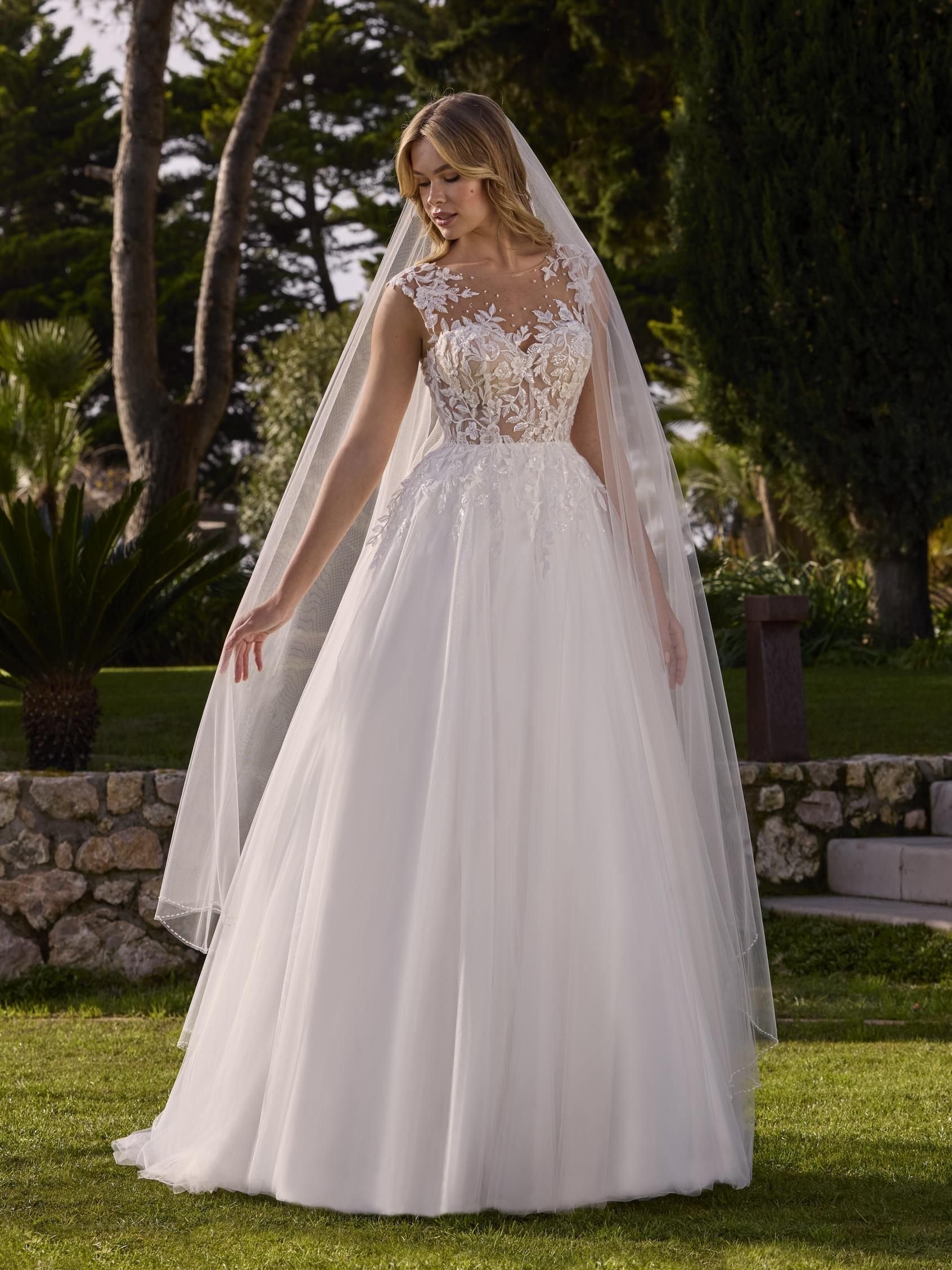 demelza-b-40e3307d.jpg