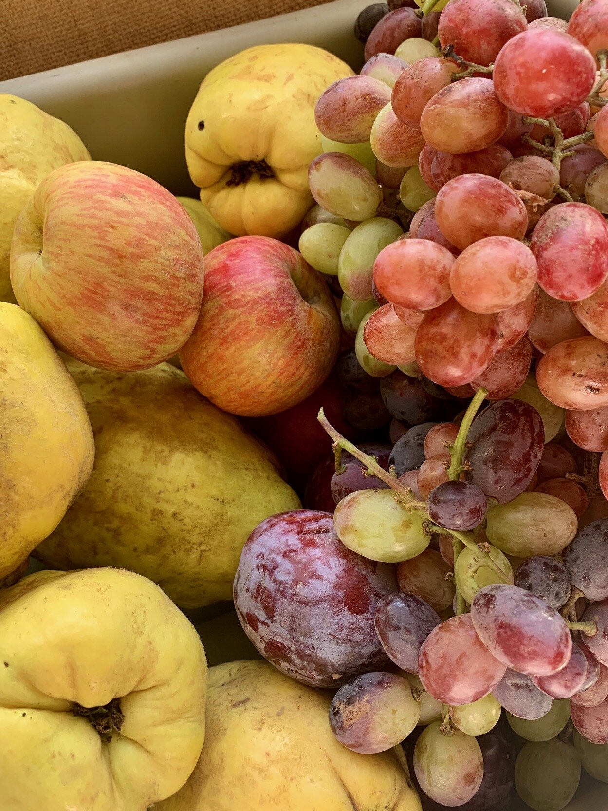 Quince, Apples, Pluots &amp; Grapes from the Farmer’s Market
