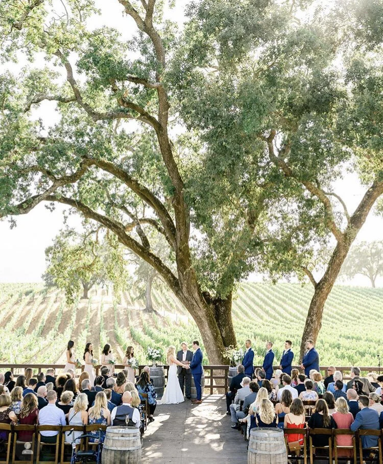 br cohn ceremony.jpg