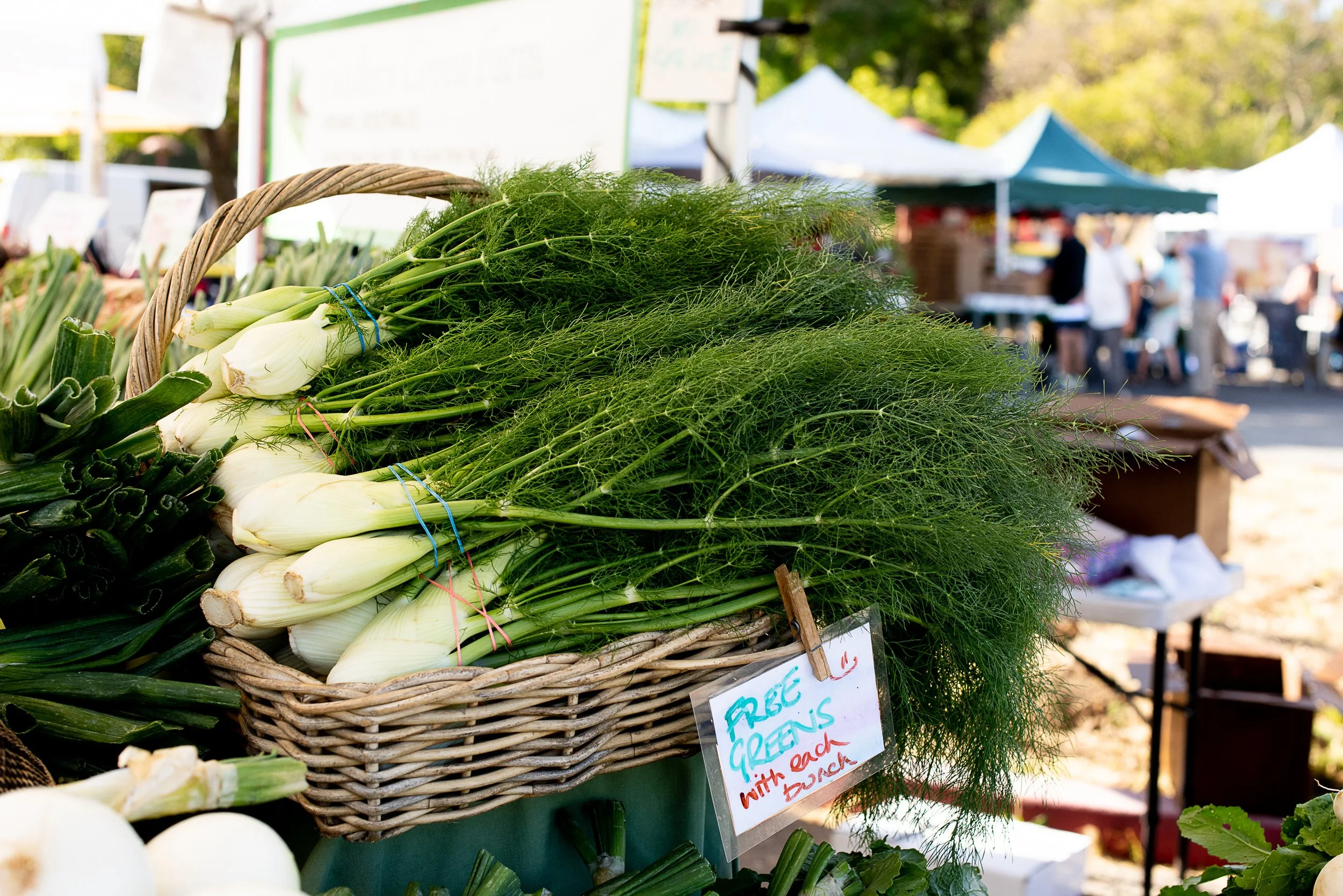 Summertime Abundance