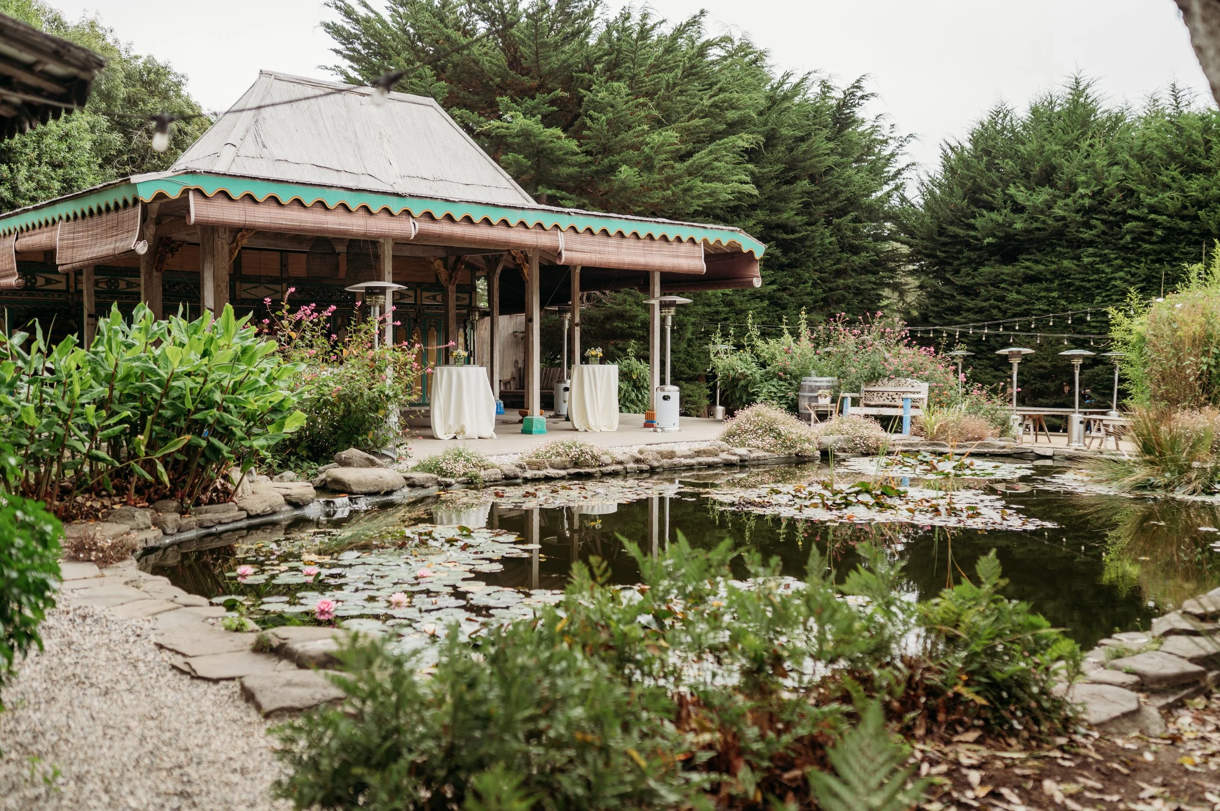 Getting Married in Stinson: What It Actually Takes (And Why We Love It Anyway)
