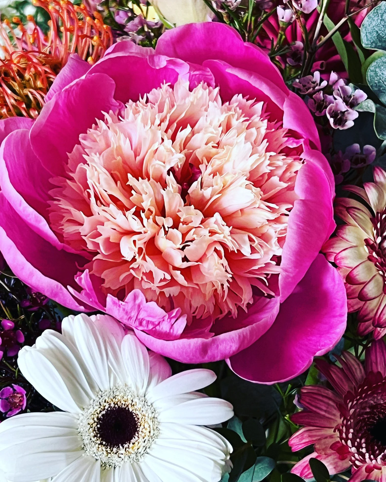 Double peony from Front Porch Farm