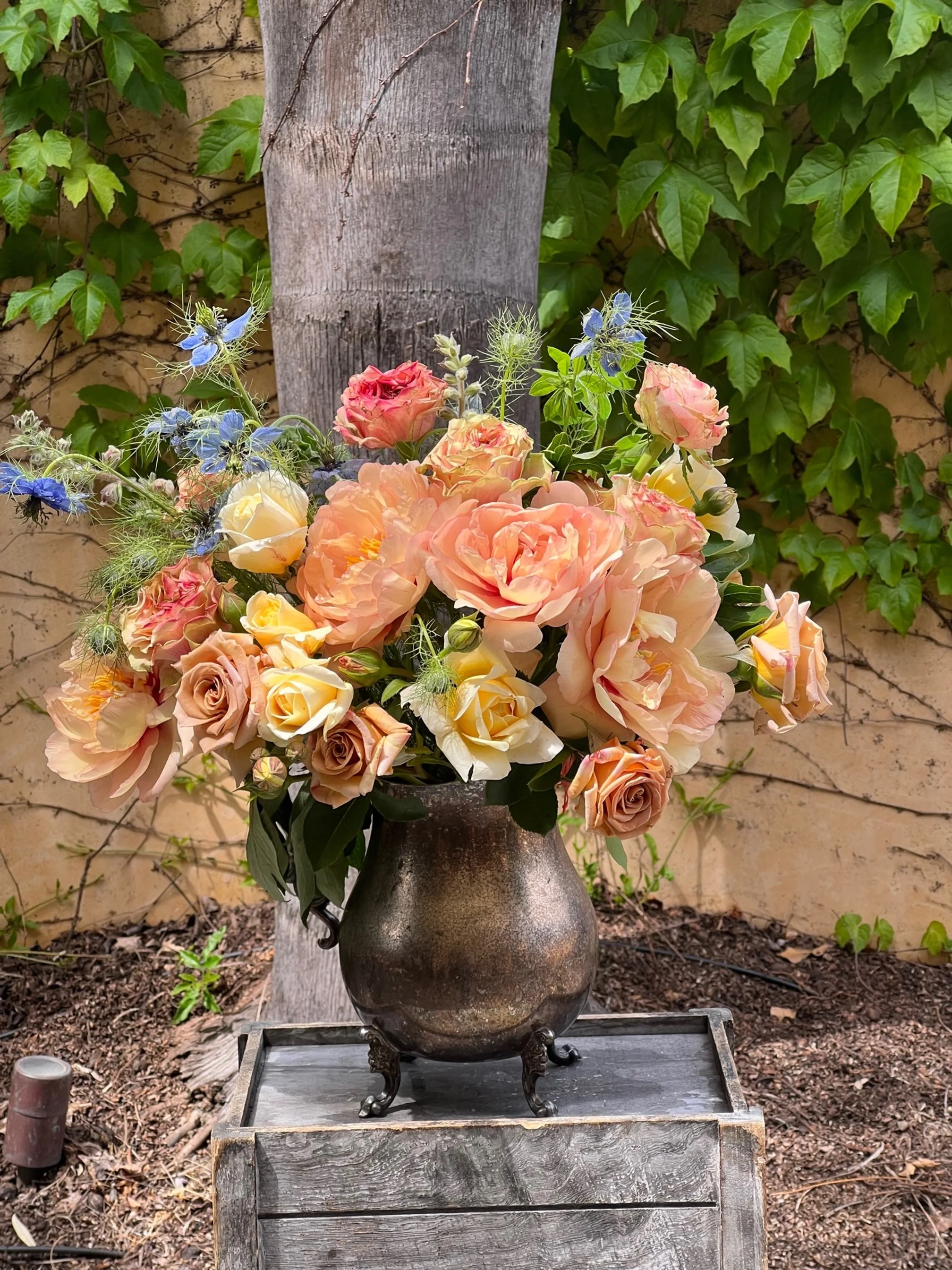 Garden Roses from a local farm $45