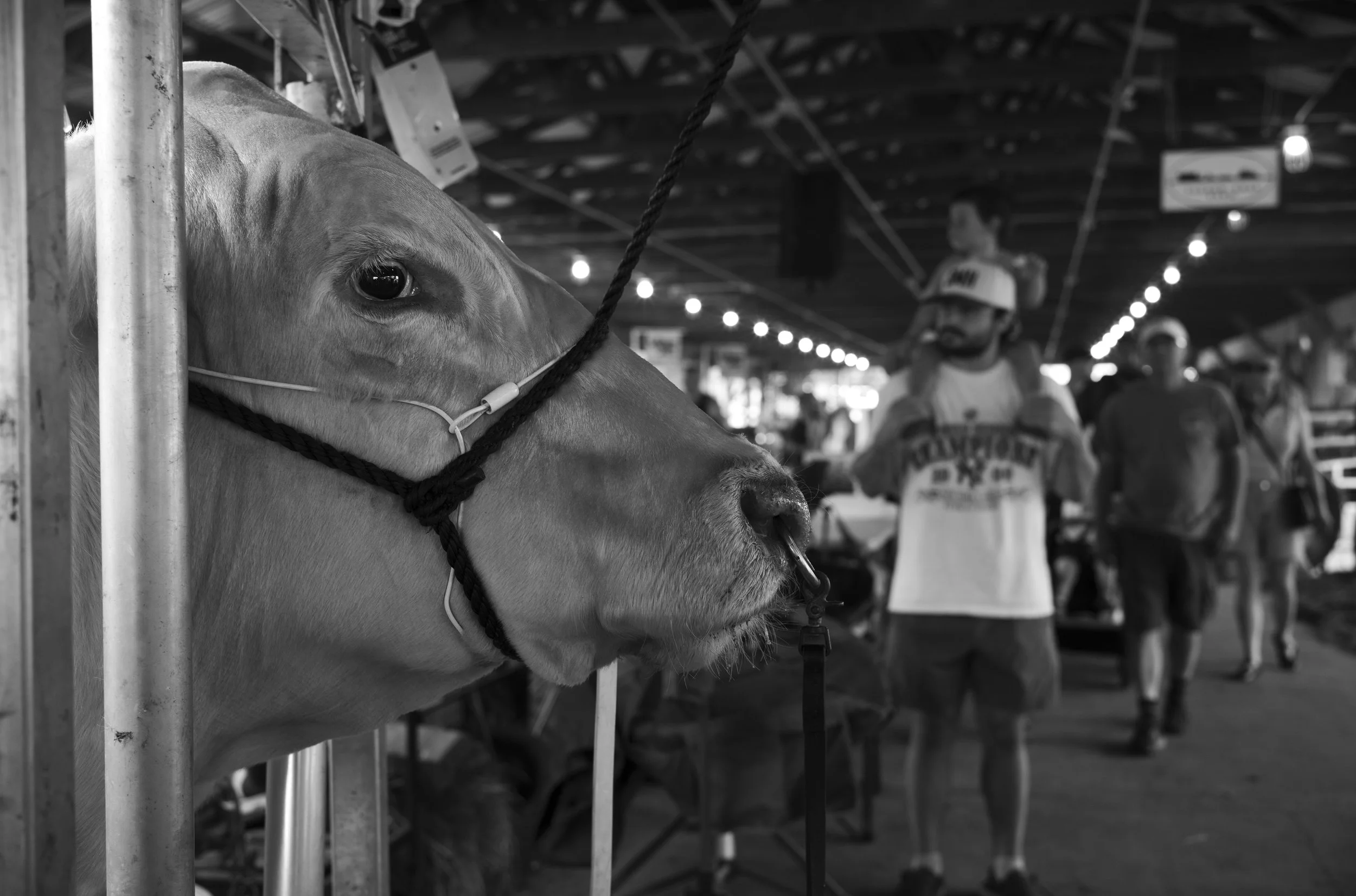  Sussex County Fair 