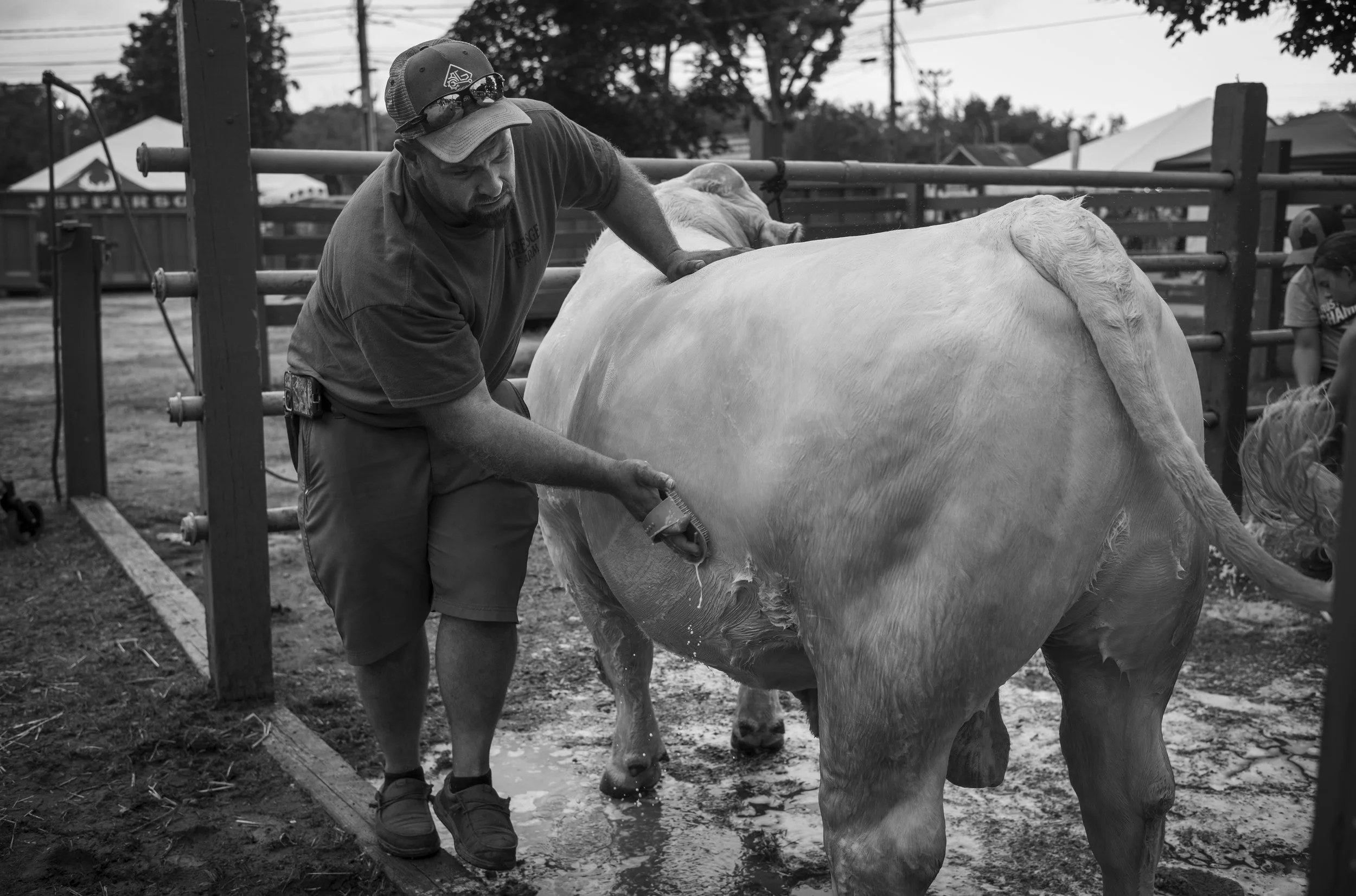  Sussex County Fair 