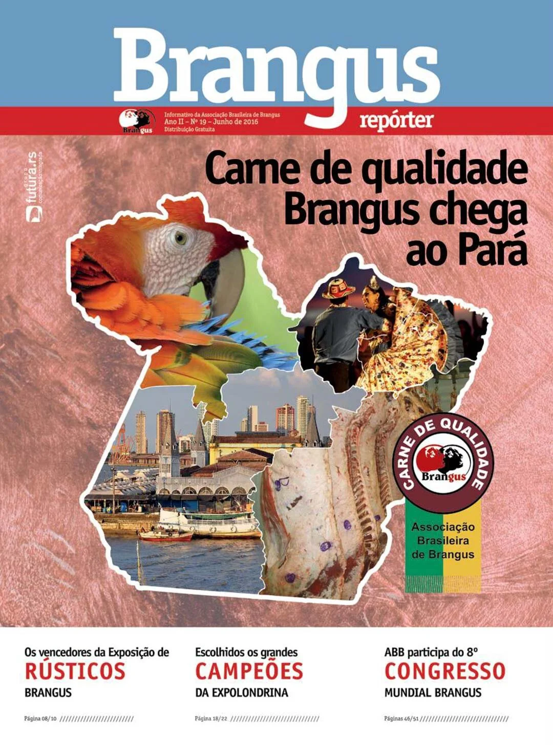 Edição nº19