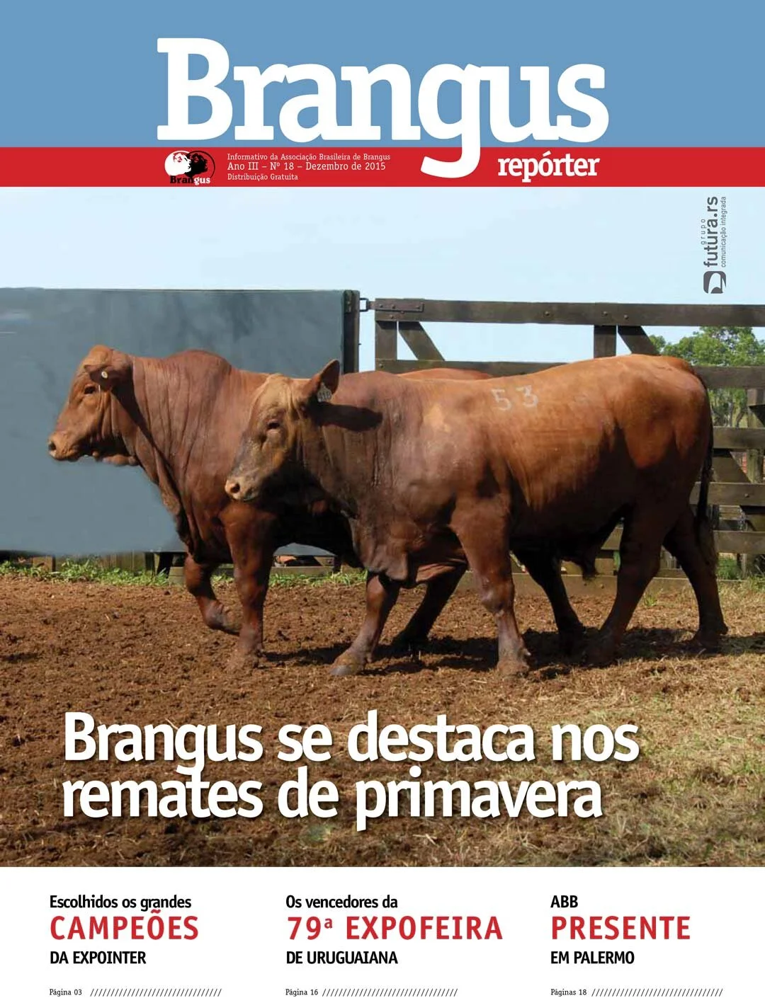 Edição nº 18