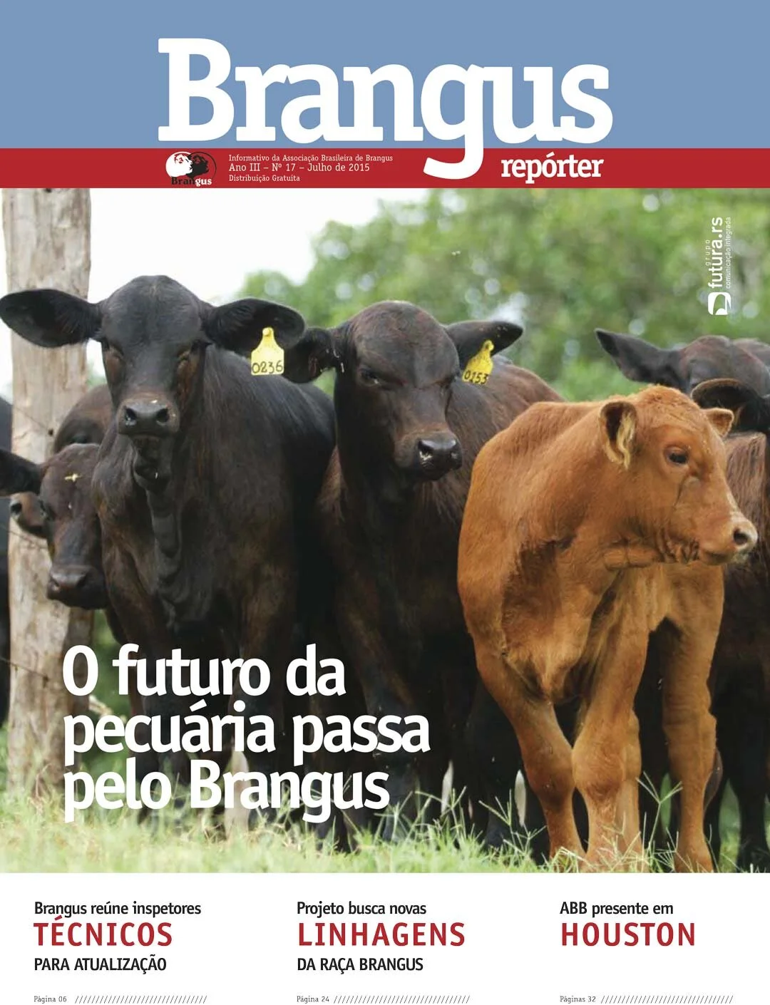 Edição nº 17