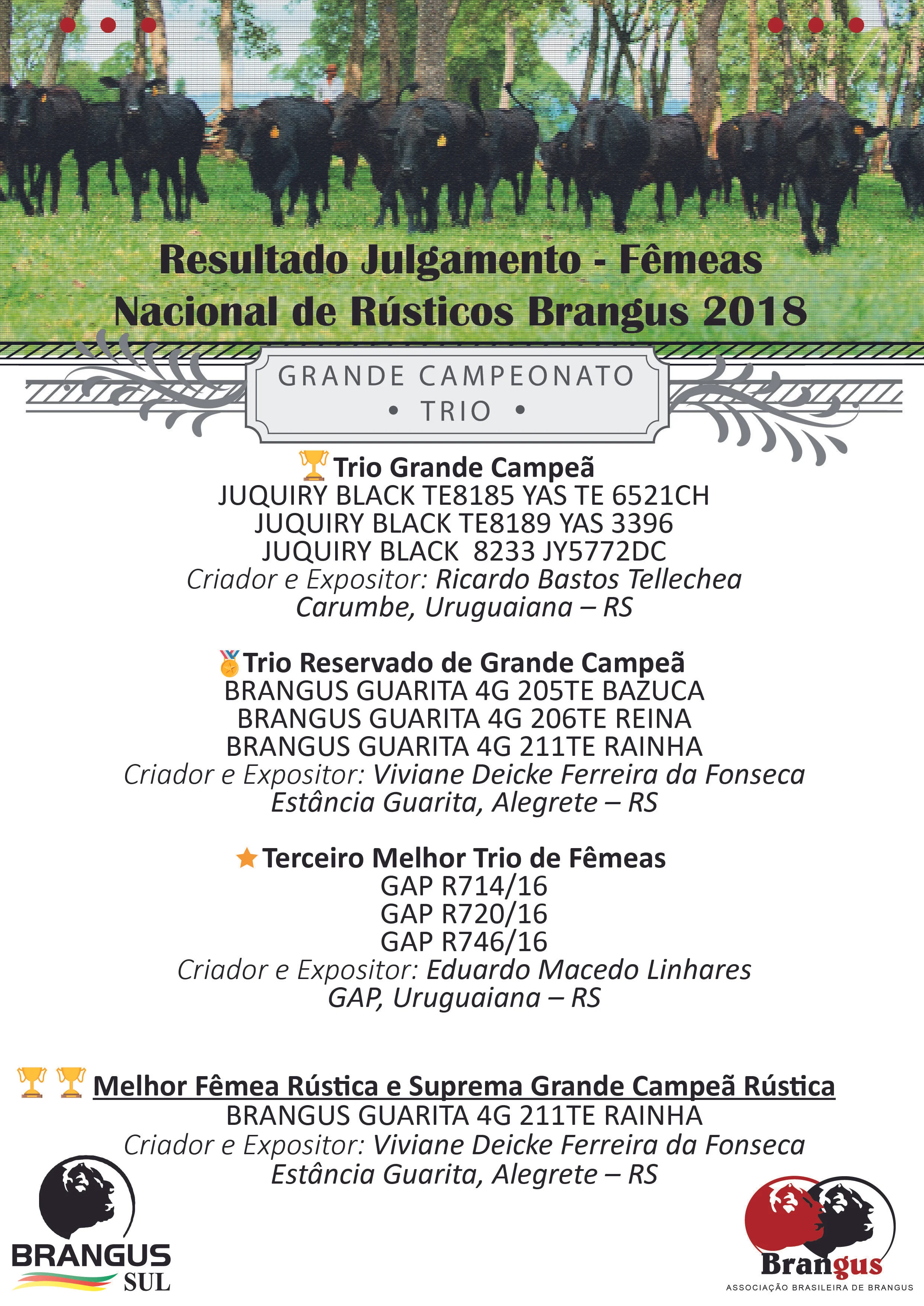 Santa Maria sediou a Exposição Nacional de Rústicos Brangus