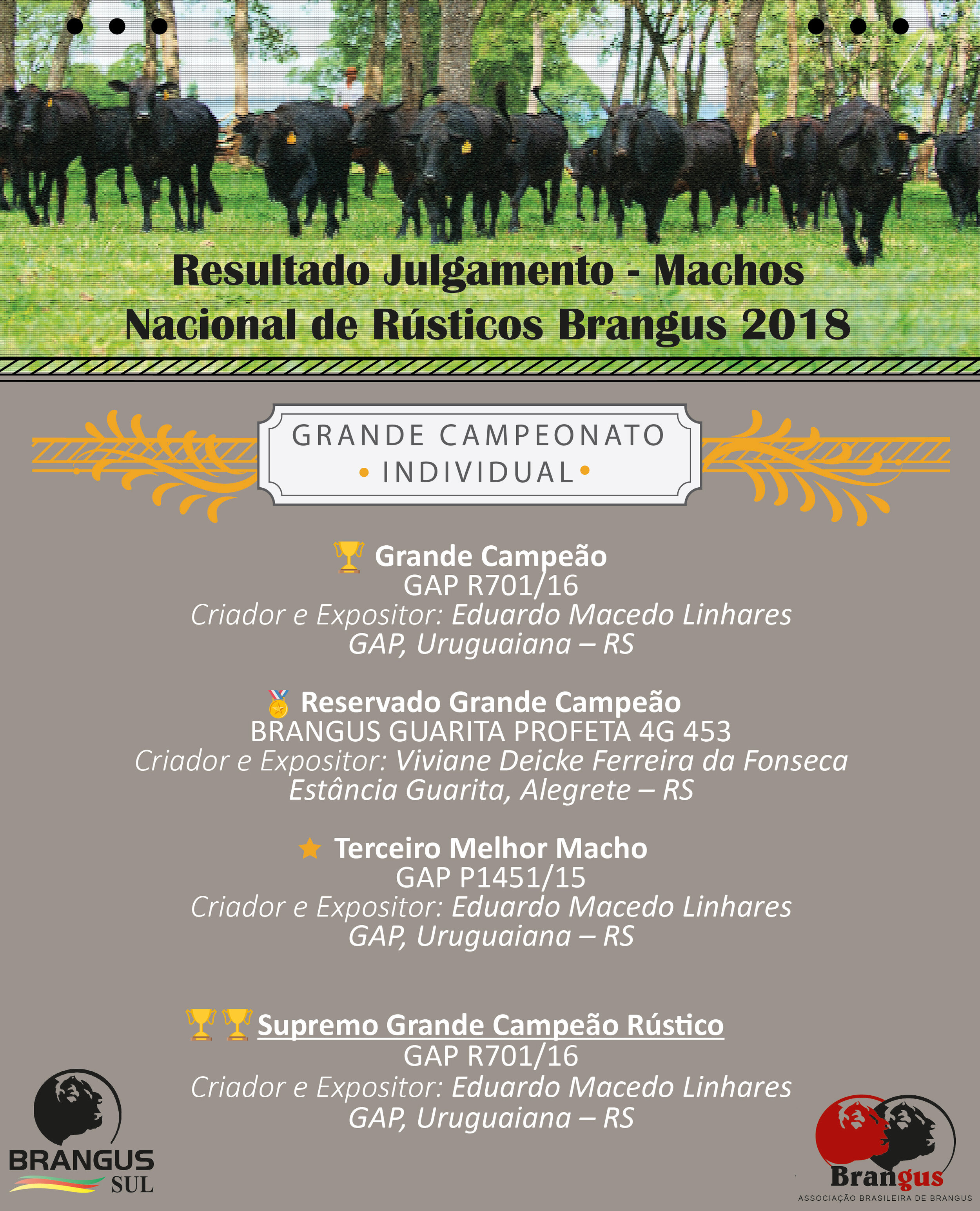 Santa Maria sediou a Exposição Nacional de Rústicos Brangus