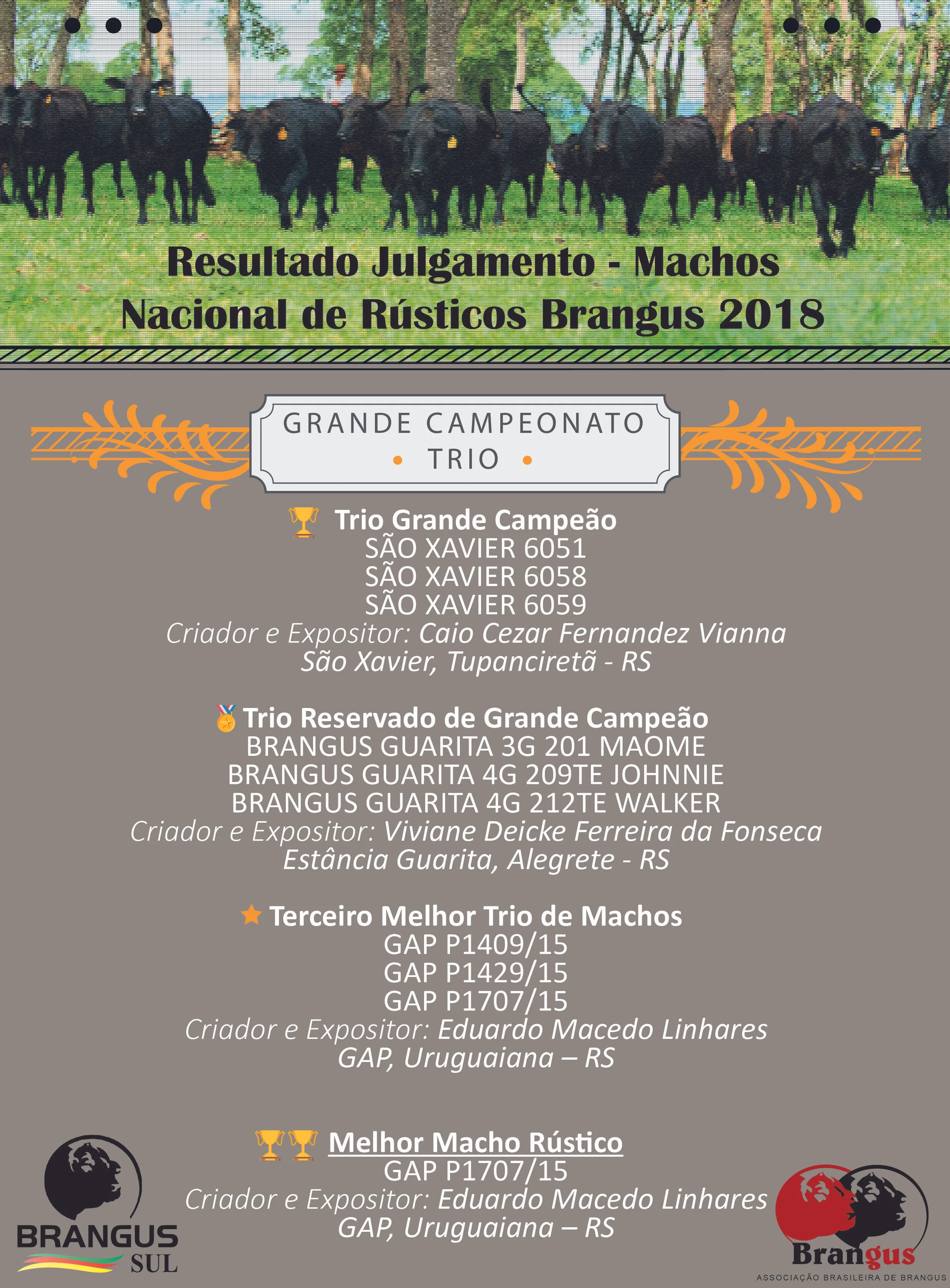 Santa Maria sediou a Exposição Nacional de Rústicos Brangus
