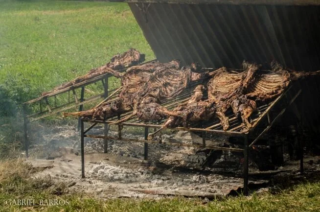 Dia de Campo Leilão Parceria Genética 2018 - Brangus Paipasso