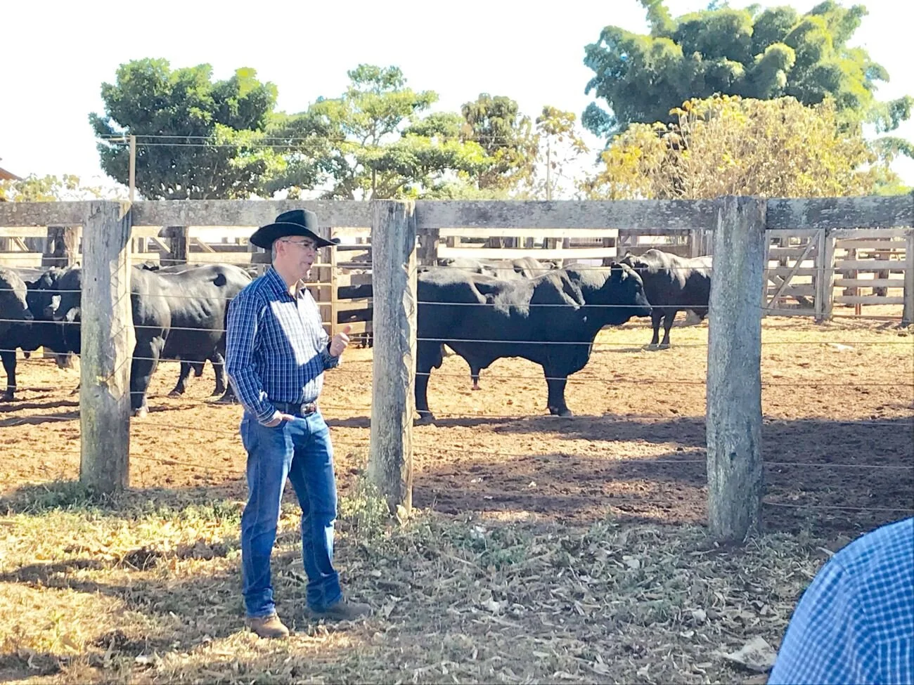 Dia de campo do Brangus Saga responde perguntas sobre lucro na pecuária de corte Foto: Marcio Peruchi